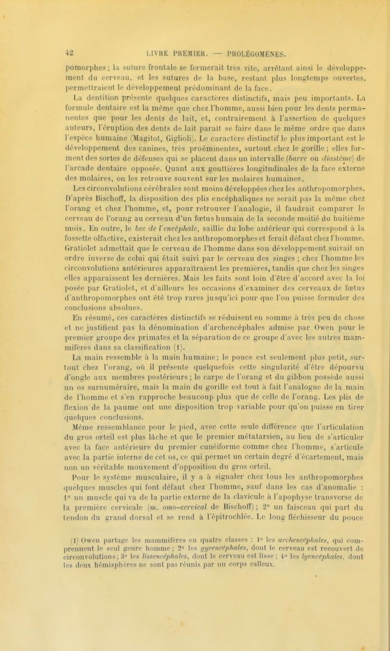 pomorphes ; la suture frontale se fermerait très vite, arrêtant ainsi le développe- ment du cerveau, et les sutures de la base, restant plus longtemps ouvertes, permettraient le développement prédominant de la face. I^a dentition p^é^;ente quelques caractères distinctifs, mais peu importants. La formule dentaire est la même que chez l'homme, aussi bien pour les dents perma- nentes que pour les dents de lait, et, contrairement à l'assertion de quelques auteurs, l'éruption des dents de lait paraît se faire dans le même ordre que dans l'espèce humaine (Magitot, Giglioli). Le caractère distinctif le plus important est le développement des canines, très proéminentes, surtout chez le gorille; elles for- ment des sortes de défenses qui se placent dans un intervalle (barre ou diaslème) de l'arcade dentaire opposée. Quant aux gouttières longitudinales de la face externe des molaires, on les retrouve souvent sur les molaires humaines. Les circonvolutions cérébrales sont moins développées chez les anthropomorphes. D'après Bischofî, la disposition des plis encéphaliques ne serait pas la même chez l'orang et chez l'homme, et, pour retrouver l'analogie, il faudrait comparer le cerveau de l'orang au cerveau d'un fœtus humain de la seconde moitié du huitième mois. En outre, le bec de l'encéphale, saillie du lobe antérieur qui correspond à la fossette olfactive, existerait chez les anthropomorphes et ferait défaut chez I homme. Gratiolet admettait que le cerveau de l'homme dans son développement suivait un ordre inverse de celui qui était suivi par le cerveau des singes ; chez l'homme les circonvolutions antérieures apparaîtraient les premières, tandis que chez les singes elles apparaissent les dernières. Mais les faits sont loin d'être d'accord avec la loi posée par Gratiolet, et d'ailleurs les occasions d'examiner des cerveaux de fœtus d'anthropomorphes ont été trop rares jusqu'ici pour que Ton puisse formuler des conclusions absolues. En résumé, ces caractères distinctifs se réduisent en somme à très peu de chose et ne justifient pas la dénomination d'archencéphales admise par Owen pour le premier groupe des primates et la séparation de ce groupe d'avec les autres mam- mifères dans sa classification (1). La main ressemble à la main humaine; le pouce est seulement plus petit, sur- tout chez l'orang, où il présente quelquefois cette singularité d'être dépourvu d'ongle aux membres postérieurs ; le carpe de l'orang et du gibbon possède aussi un os surnuméraire, mais la main du gorille est tout à fait l'analogue de la main de l'homme et s'en rapproche beaucoup plus que de celle de l'orang. Les plis de flexion de la paume ont une disposition trop variable pour qu'on puisse en tirer quelques conclusions. Même ressemblance pour le pied, avec cette seule difTérence que l'articulation du gros orteil est plus lâche et que le premier métatarsien, au lieu de s'articuler avec la face antérieure du premier cunéiforme comme chez l'homme, s'articule avec la partie interne de cet os, ce qui permet un certain degré d'écartement, mais non un véritable mouvement d'opposition du gros orteil. Pour le système musculaire, il y a à signaler chez tous les anthropomorphes quelques muscles qui font défaut chez l'homme, sauf dans les cas d'anomalie : 1° un muscle qui va de la partie externe de la clavicule à l'apophyse transverse de la première cervicale (m. omo-cervical de Bischofî) ; 2° un faisceau qui part du tendon du grand dorsal et se rend à l'épitrochlée. Le long fléchisseur du pouce (1) Owpn partage le? mammifères en quatre classes : 1° los archencéphales, qui com- prennent le seul genre homme ; 2 le? r/yrencéphaîes, dont le cerveau est recouvert de circonvolutions; 3° les lissencép/iales, dont le cerveau est lisse ; 4° les lyencép/iales, dont les deux hémisphères ne sont pas réunis par un corps calleux.