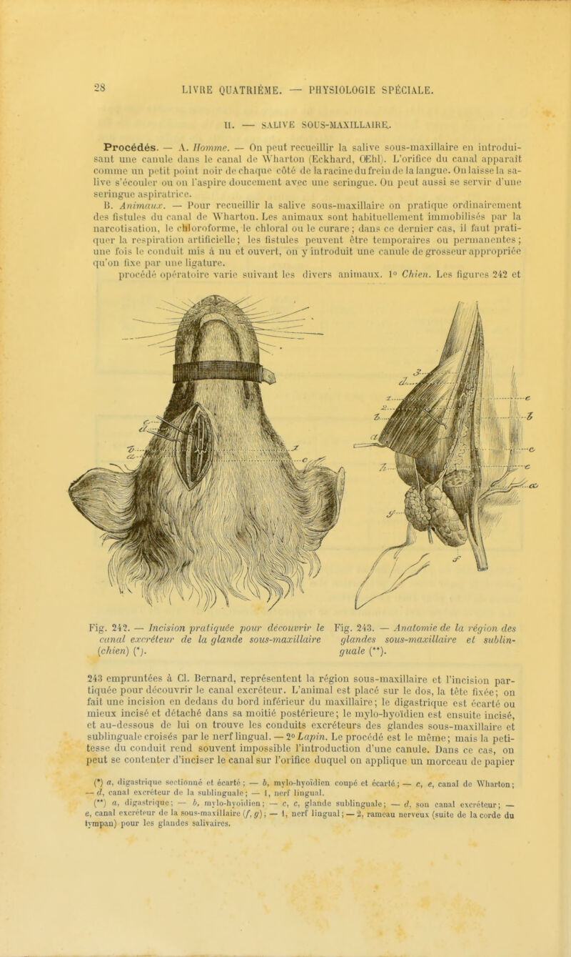 II. — SALIVE SOUS-M.\XILLAIRE.. Procédés. — A. Homme. — On peut recueillir la salive sous-maxillaire en introdui- sant une canule dans le canal de Wharton (Eckhard, OEhl). L'orifice du canal apparaît comme un petit point noir de charpie côté de la racine du frein de la langue. On laisse la sa- live s'écouler ou on l'aspii'e doucement avec une seringue. On peut aussi se servir d'une seringue aspiratrice. B. Animaux. — Pour recueillir la salive sous-maxillaire on pratique ortlinairemcnt des fistule? du canal de Wharton. Les animaux sont habituellement immobilisés par la narcotisation, le chloroforme, le chloral ou le curare; dans ce dernier cas, il faut prati- quer la respiration artificielle ; les fistules peuvent être temporaires ou permanentes ; une fois le conduit mis à nu et ouvert, on y introduit une canule de grosseur appropriée qu'on fixe par une ligature. procédé opératoire varie suivant les divers animaux. 1 Chien. Les figures 242 et Fig. 242. — Incision pratiquée pour découvrir le Fig. 243. — Anatomie de la région des canal excréteur de la glande sous-maxillaire glandes sous-maxillaire et sublin- (chien) {*). guale (**). 243 empruntées à Cl. Bernard, représentent la région sous-maxillaire et l'incision par- tiquée pour découvrir le canal excréteur. L'animal est placé sur le dos, la tête fixée; ou fait une incision en dedans du bord inférieur du maxillaire; le digastrique est écarté ou mieux incisé et détaché dans sa moitié postérieure; le mylo-hyoïdien est ensuite incisé, et au-dessous de lui on trouve les conduits excréteurs des glandes sous-maxillaire et sublinguale croisés parle nerf lingual. — 2° L«pm. Le procédé est le même; mais la peti- tesse du conduit rend souvent impossible l'introduction d'une canule. Dans ce cas, on peut se contenter d'inciser le canal sur l'orifice duquel on applique un morceau de papier (•) a, digastrique sertionné et écarté; — ô, mylo-hyoïdien coupé et écarté; — r., c, canal de Wharton; — d, canal excréteur de la sublinguale; — 1, nerf lingual. (**) a, digastrique; — b, tnylo-hyoïilion ; — c, c, glande sublinguale; — (/. sou canal excréteur; — e, canal excréteur de la sous-maxillaire (/, gr) ; — 1, nerf lingual ; — 2, rameau nerveux (suite de la corde du tympan) pour les glandes salivaires.