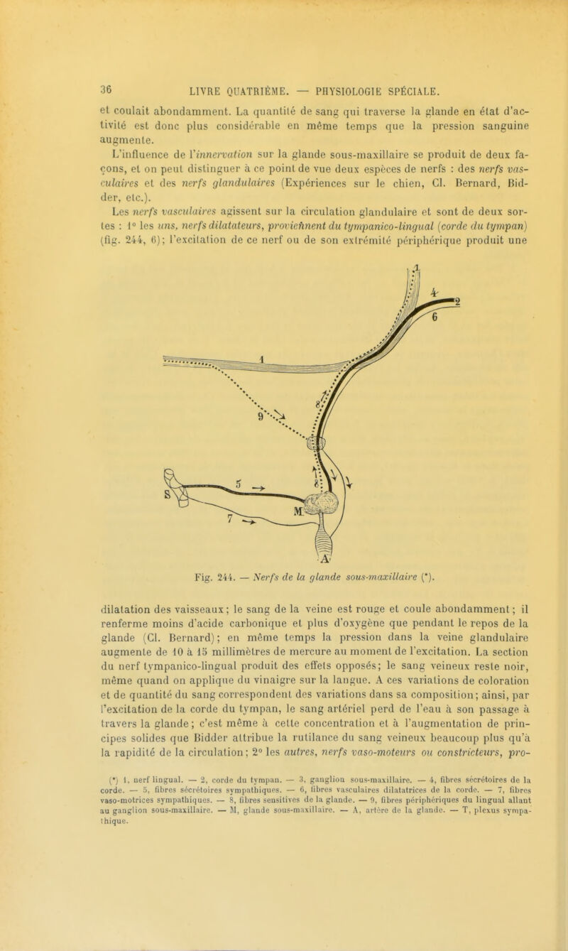 et coulait abondamment. La quantité de sang qui traverse la glande en état d'ac- tivité est donc plus considérable en même temps que la pression sanguine augmente. L'influence de Vinnervation sur la glande sous-maxillaire se produit de deux fa- çons, et on peut distinguer à ce point de vue deux espèces de nerfs : des nerfs ims- culaires et des yierfs glandulaires (Expériences sur le chien, Cl. Bernard, Bid- der, etc.). Les nerfs vasciilaires agissent sur la circulation glandulaire et sont de deux sor- tes : 1° les uns, nerfs dilatateurs, proviefinent du tympanico-lingual {corde du tympan) (fig. 244, 6); l'excilalion de ce nerf ou de son extrémité périphérique produit une dilatation des vaisseaux; le sang de la veine est rouge et coule abondamment ; il renferme moins d'acide carbonique et plus d'oxygène que pendant le repos de la glande (Cl. Bernard) ; en même temps la pression dans la veine glandulaire augmente de iO à 15 millimètres de mercure au moment de l'excitation. La section du nerf tympanico-lingual produit des effets opposés; le sang veineux reste noir, même quand on applique du vinaigre sur la langue. A ces variations de coloration et de quantité du sang correspondent des variations dans sa composition; ainsi, par l'excitation de la corde du tympan, le sang artériel perd de l'eau à son passage à travers la glande ; c'est même à cette concentration et à l'augmentation de prin- cipes solides que Bidder attribue la rutilance du sang veineux beaucoup plus qu'à la rapidité de la circulation ; 2 les autres, nerfs vaso-moteurs ou constricteurs, pro- (*) 1, nerf lingual. — 2, corde du tympau. — 3, ganglioa sous-maxillaire. — 4, fibres sécrétoires de la corde. — 5, fibres sécrétoires sympathiques. — 6, libres vasculaires dilatatrices de la corde. — 7, fibres vaso-motrices sympathiques. — 8, fibres seusitives de la glande. — 9, fibres périphériques du lingual allant au ganglion sous-maxillaire. — M, glande sous-maxillaire. — A, artère de la glande. — T, jilexus sympa- thique.