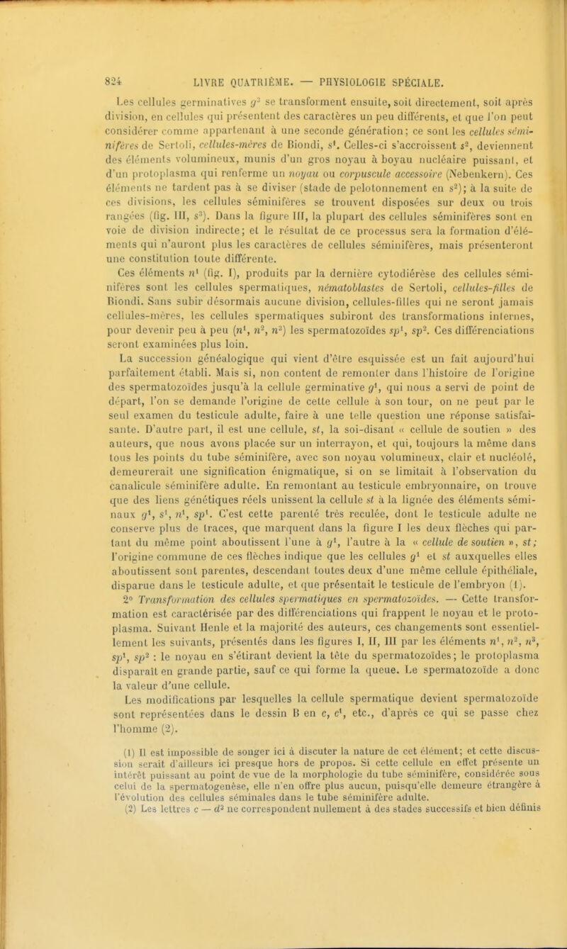 I-es cellules germinatives se transforment ensuite, soil directement, soit après division, en cellules qui présentent des caractères un peu différents, et que l'on peut considérer comme appartenant à une seconde génération; ce sont les cellules sémi' nifères de Serloli, cellules-mères de Biondi, sK Celles-ci s'accroissent s^, deviennent des éléments volumineux, munis d'un gros noyau à boyau nucléaire puissani, et d'un protoplasma qui renferme un noyau ou corpuscule accessoire (Nebenkern). Ces éléments ne tardent pas à se diviser (stade de pelotonnement en s-); à la suite de ces divisions, les cellules séminifères se trouvent disposées sur deux ou trois rangées (fig. III, s^). Dans la figure III, la plupart des cellules séminifères sont en voie de division indirecte; et le résultat de ce processus sera la formation d'élé- ments qui n'auront plus les caractères de cellules séminifères, mais présenteront une constitution toute différente. Ces éléments 7i' (fig, I), produits par la dernière cytodiérèse des cellules sémi- nifères sont les cellules spermaliques, nématoblasles de Sertoli, cellules-filles de Biondi. Sans subir désormais aucune division, cellules-filles qui ne seront jamais coUules-mères, les cellules spermaliques subiront des transformations inlernes, pour devenir peu à peu (n', ii-, n^) les spermatozoïdes sp\ sp^. Ces différenciations seront examinées plus loin. La succession généalogique qui vient d'être esquissée est un fait aujourd'hui parfaitement établi. Mais si, non content de l'emonler dans l'histoire de Torigine des spermatozoïdes jusqu'à la cellule germinative g^, qui nous a servi de point de départ, l'on se demande l'origine de cette cellule à son tour, on ne peut par le seul examen du testicule adulte, faire à une telle question une réponse satisfai- sante. D'autre part, il est une cellule, st, la soi-disant « cellule de soutien » des auteurs, que nous avons placée sur un interrayon, et qui, toujours la même dans tous les points du tube séminifère, avec son noyau volumineux, clair et nucléole, demeurerait une signification énigmatique, si on se limitait à l'observation du canalicule séminifère adulte. En remontant au testicule embryonnaire, on trouve que des liens génétiques réels unissent la cellule st à la lignée des éléments sémi- naux Qf*, n% sp^. C'est cette parenté très reculée, dont le testicule adulte ne conserve plus de traces, que marquent dans la figure I les deux flèches qui par- lant du même point aboutissent l'une à y*, l'autre à la « cellule de soutien », st ; l'origine commune de ces flèches indique que les cellules et st auxquelles elles aboutissent sont parentes, descendant toutes deux d'une même cellule épilhéliale, disparue dans le testicule adulte, et que présentait le testicule de l'embryon (1). 2° Transfonaution des cellules spermaliques en spermatozoïdes. — Cette transfor- mation est caractérisée par des dilférenciations qui frappent le noyau et le proto- plasma. Suivant Henle et la majorité des auteurs, ces changements sont essentiel- lement les suivants, présentés dans les figures I, II, III par les éléments n% n^, w*, sp', sp^ : le noyau en s'étirant devient la tête du spermatozoïdes; le proloplasma disparaît en grande partie, sauf ce qui forme la queue. Le spermatozoïde a donc la valeur d'une cellule. Les modifications par lesquelles la cellule spermatique devient spermatozoïde sont représentées dans le dessin B en c, c*, etc., d'après ce qui se passe chez l'homme (2). (1) Il est impossible de songer ici à discuter la nature de cet élément; et cette discus- 9i(ju serait d'ailleurs ici presque hors de propos. Si cette cellule en etîet présente uu intérêt puissant au point de vue de la morphologie du tube séminifère, considéi'éc sous celui de la spermatogeuèse, elle n'en offre plus aucuu, puisqu'elle demeure étrangère à révolutiou des cellules séminales dans le tube séminifère adulte. (2) Les lettres c — ne correspondent nullement à des stades successifs et bien définis