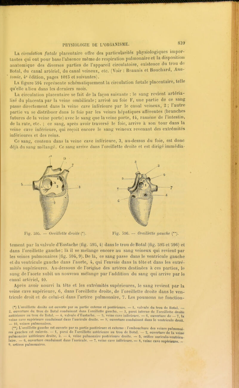 La circulation fœtale placentaire otlVe des particularités physiologiques impor- tantes qui ont pour base l'absence môme de respiration pulmonaire et la disposition analomique des diverses parties de l'appareil circulatoire, existence du trou do Botal, du canal artériel, du canal veineux, etc. (Voir : Beaunis et Bouchard, Ana- lomie, 4 édition, pages 1015 et suivantes). La ligure 594 représente schémaliquement la circulation fœtale placentaire, telle qu'elle a lieu dans les derniers mois. La circulation placentaire se fait de la façon suivante : le sang revient artéria- lisé du placenta par la veine ombilicale; arrivé au foie F, une partie de ce sang passe directement dans la veine cave inférieure par le canal veineux, 2 ; l'autre partie va se distribuer dans le foie par les veines hépatiques afférentes (branches futures de la veine porte) avec le sang que la veine porte, 14, ramène de l'intestin, de la rate, etc. ; ce sang, après avoir traversé le foie, arrive à son tour dans la veine cave inférieure, qui reçoit encore le sang veineux revenant des extrémités inférieures et des reins. Ce sang, contenu dans la veine cave inférieure, 3, au-dessus du foie, est donc déj.à du sang mélangé. Ce sang arrive dans l'oreillette droite et est dirigé immédia- Fig. Ô9.J. Oreillette droite ('). Fig. 59G. — Oreillette f/auche (). tement par la valvule d'Euslache (fig. 59'), 4) dans le trou de Botal (fig. 595 et 596) et dans l'oreilletle gauche; là il se mélange encore au sang veineux qui revient par les veines pulmonaires (fig. 594, 9), De là, ce sang passe dans le ventricule gauche et du ventricule gauche dans l'aorte, 4, qui l'envoie dans la tète et dans les extré- mités supérieures. Au-dessous de l'origine des artères destinées à ces parties, le sang de l'aorte subit un nouveau mélange par l'addition du sang qui arrive parle canal artériel, 10. Après avoir nourri la tète et les extrémités supérieures, le sang revient par la veine cave supérieure, 6, dans roreillellc droite, de l'oreilletle droite dans le ven- tricule droit et de celui-ci dans l'artère pulmonaire, 7. Les poumons ne fonction- (*) L'oreillette droite est ouverte par sa partie externe et postérieure. — 1, valvule du trou de Hotal. i, ouverture du trou de Botal conduisant dans l'oreillette gauche. — 3, paroi interne de roreillette droite antérieure au trou de Botal. — 4, valvule d'Fustache. — fi, veine cave inférieure. — 6, ouverture de 7, la veine cave supérieure conduisant dans l'auricule droite. — 0, ouverture conduisant dans le ventricule droit. — 10, veines pulmonaires. (**) L'oreillette gauche est ouverte par sa partie postérieure et externe : l'embouchure des veines pulmonai- res gauches est enlevée. — 1, paroi de l'oreilletle antérieure au trou de BotaL — 2, ouverture de la veine pulmonaire antérieure droite, 3. — 4, veine pulmonaire postérieure droite. — 5, orifice auriculo-vcntricu- laire. — 6, ouverture conduisant dans l'auricule. — 7, veine cave inférieure. — 8, veine cave supérieure. —■ ■0, artères pulmonaires.
