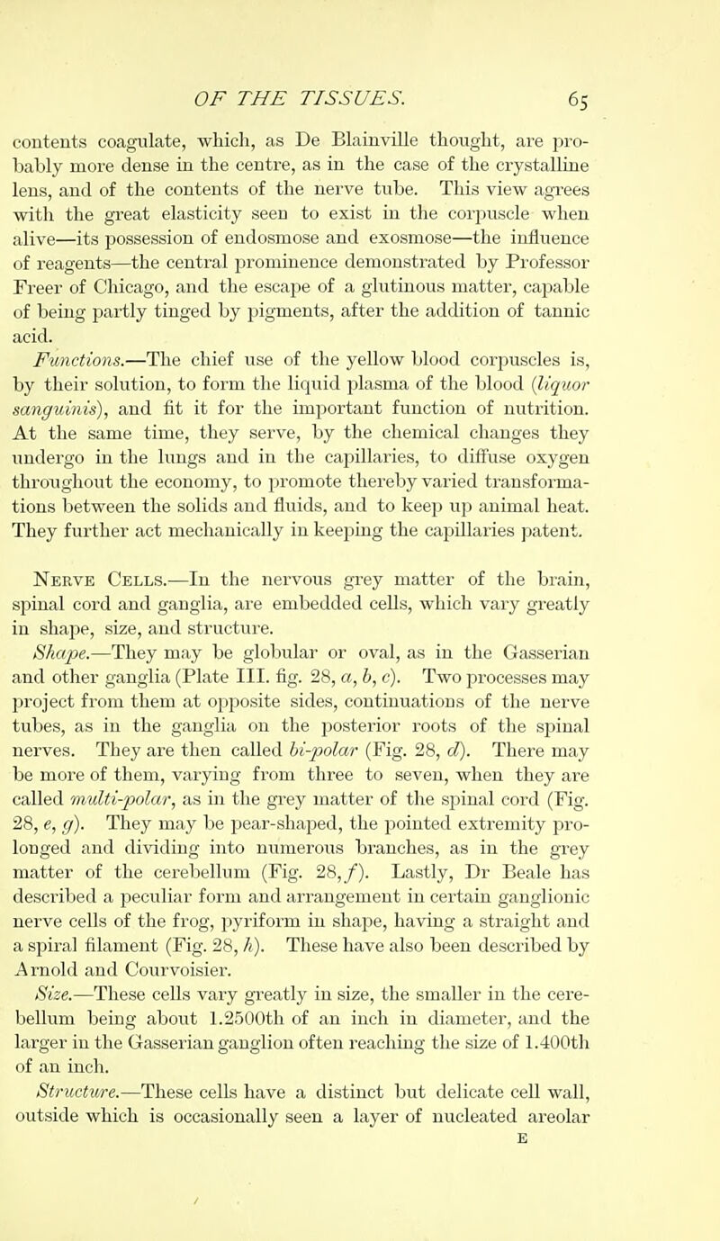 contents coagulate, which, as De Blainville thought, are pro- bably more dense in the centre, as in the case of the crystalline lens, and of the contents of the nerve tube. This view agrees with the great elasticity seen to exist in the corjjuscle when alive—its possession of endosmose and exosmose—the influence of reagents—the central prominence demonstrated by Professor Freer of Chicago, and the escajje of a glutinous matter, capable of being partly tinged by pigments, after the addition of tannic acid. Functions.—The chief use of the yellow blood corpuscles is, by their solution, to form the liquid plasma of the blood {liquor sanguinis), and fit it for the important function of nutrition. At the same time, they serve, by the chemical changes they undergo in the lungs and in the capillaries, to diffuse oxygen throxighout the economy, to promote thereby varied transforma- tions between the solids and fluids, and to keep ujd animal heat. They further act mechanically in keeping the capillaries patent. Nerve Cells.—In the nervous grey matter of the bi-ain, spinal cord and ganglia, are embedded cells, which vary greatly in shape, size, and structure. Shape.—They may be globular or oval, as in the Gasserian and other ganglia (Plate III. fig. 28, a, b, c). Two processes may project from them at opposite sides, continuations of the nerve tubes, as in the ganglia on the posterior roots of the spinal nerves. They are then called hi-polar (Fig. 28, d). There may be more of them, varying from three to seven, when they are called multi-polar, as in the grey matter of the spinal cord (Fig. 28, e, g). They may be pear-shaped, the pointed extremity pro- longed and dividing into numerous branches, as in the grey matter of the cerebellum (Fig. 28,/). Lastly, Dr Beale has described a peculiar form and arrangement in certain ganglionic nerve cells of the frog, jDyriform in shape, having a straight and a spiral filament (Fig. 28, h). These have also been described by Arnold and Courvoisier. Size.—These cells vary greatly in size, the smaller in the cere- bellum being about 1.2500th of an inch in diameter, and the larger in the Gasserian ganglion often reaching the size of 1.400th of an inch. Structure.—These cells have a distinct but delicate cell wall, outside which is occasionally seen a layer of nucleated areolar E