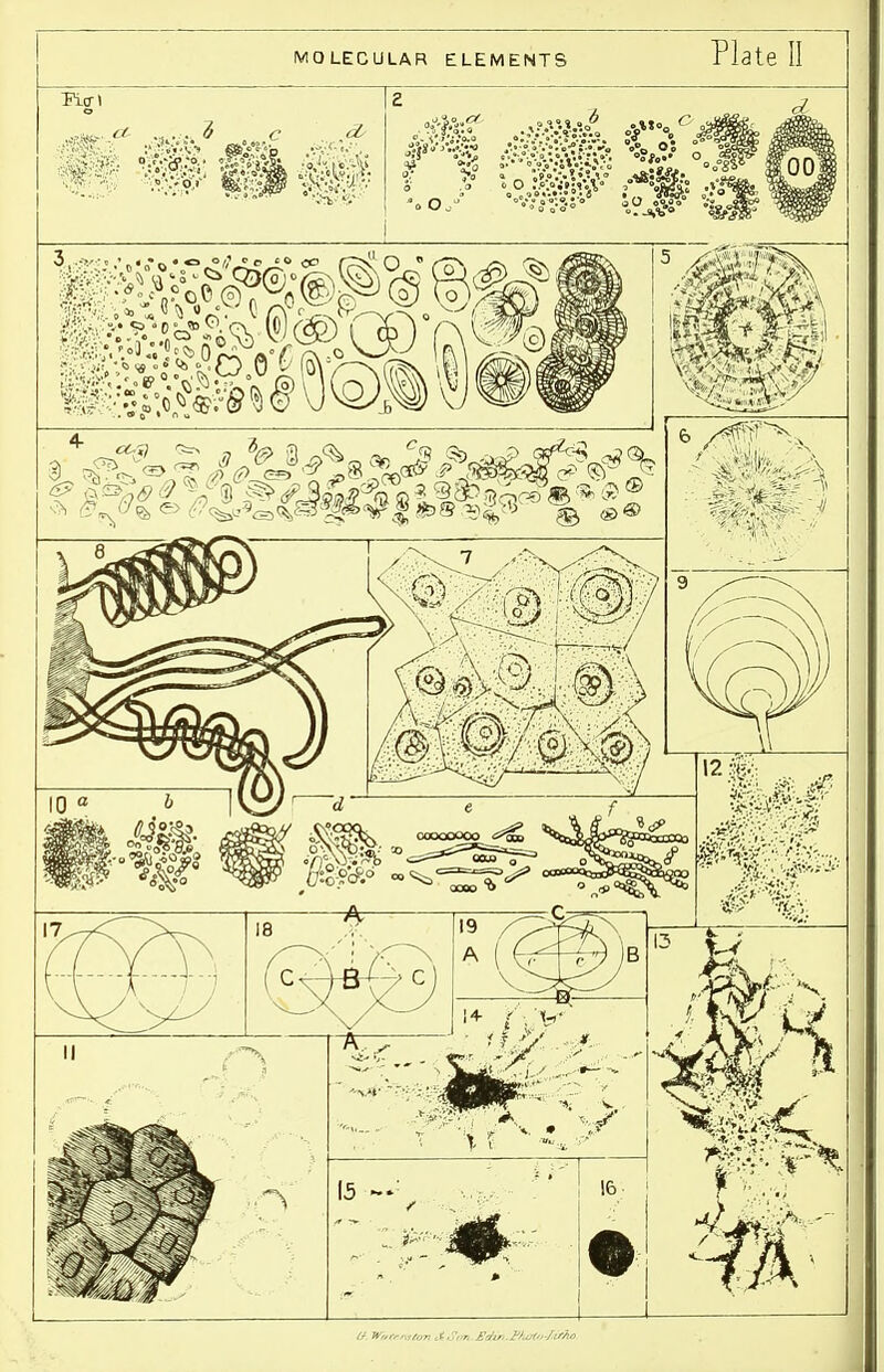 MOLECULAR ELEMENTS Plate II