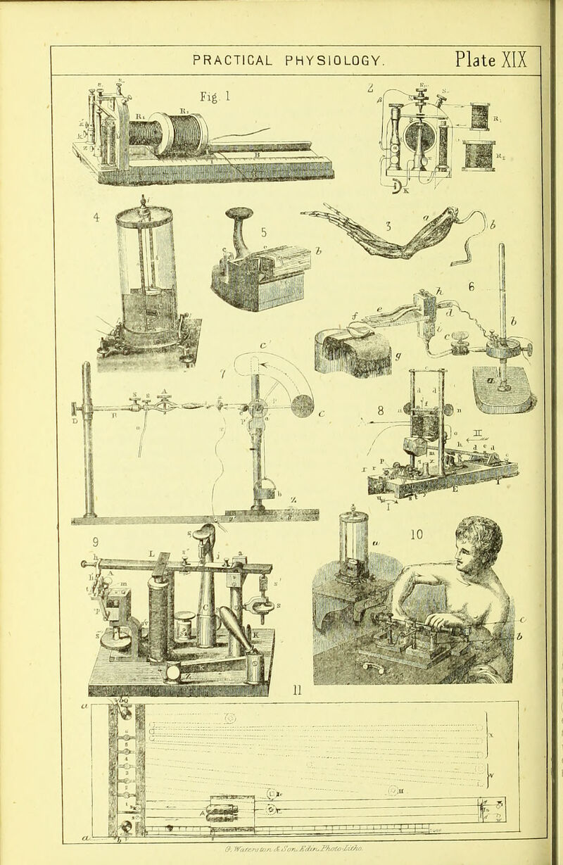 PRACTICAL PHYSIOLOGY, Plate XIX