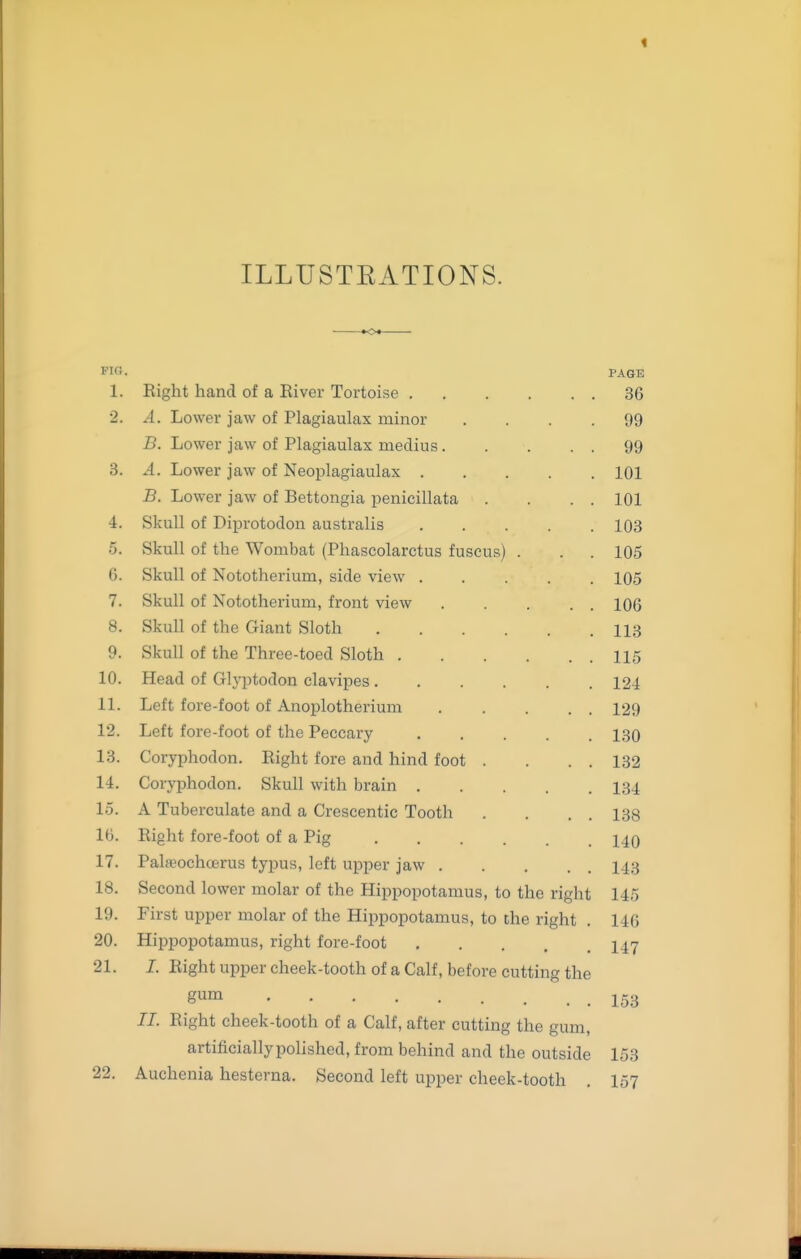 « ILLUSTRATIONS. FIG. 1. 2. 4. 5. 6. 7. 8. 9. 10. 11. 12. 13. 14. 15. 10. 17. 18. 19. 20. 21. 22. Right hand of a River Tortoise . A. Lower jaw of Plagiaulax minor B. Lower jaw of Plagiaulax medius. A. Lower jaw of Neoplagiaulax . B. Lower jaw of Bettongia penicillata Skull of Diprotodon australis Skull of the Wombat (Phascolarctus fuscus) Skull of Nototherium, side view . Skull of Nototherium, front view Skull of the Giant Sloth Skull of the Three-toed Sloth , Head of Glj^otodon clavipes . Left fore-foot of Anoplotherium Left fore-foot of the Peccary Coryphodon. Eight fore and hind foot Coryphodon. Skull with brain . A Tuberculate and a Crescentic Tooth Right fore-foot of a Pig Palseochcerus typus, left upper jaw . Second lower molar of the Hippopotamus, to the right First upper molar of the Hippopotamus, to the right Hippopotamus, right fore-foot I. Right upper cheek-tooth of a Calf, before cutting the gum 11. Right cheek-tooth of a Calf, after cutting the gum, artificially polished, from behind and the outside Auchenia hesterna. Second left upper cheek-tooth PAGE 36 99 99 101 101 108 105 105 106 113 115 124 129 130 132 134 138 140 143 145 146 147 153 153 157