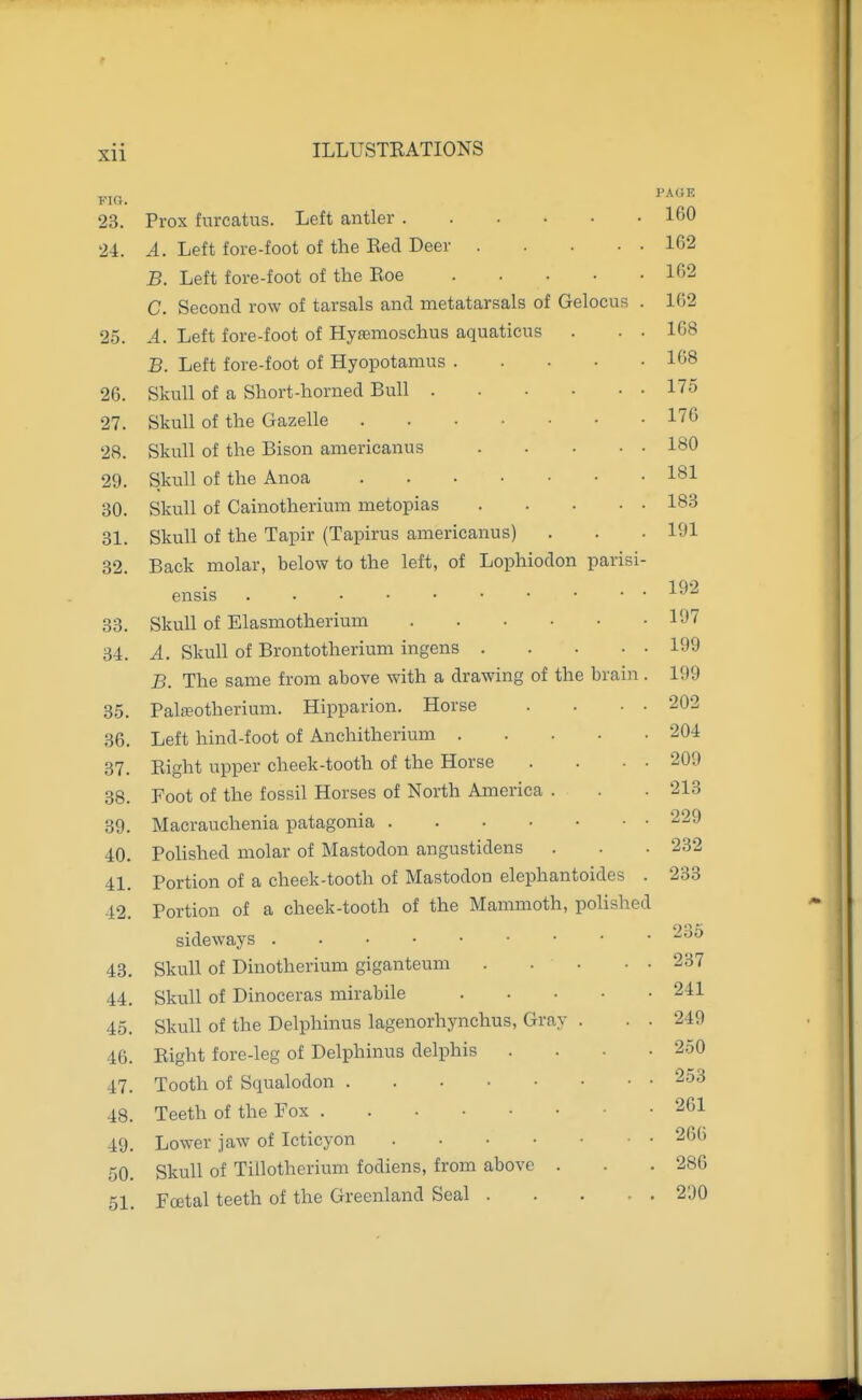 Fir,. PA OQ zo. i rox lurccitub. jjcxu ttnLici , . . • • 160 <) ( Ji-i. J T.oft fAVP-fnnf. of the Red Deer . . . • * 162 162 Q/-./^Anfl vAw nf fnrcifll^ anrl metatarsals of Gelocus . 162 J T /iff fr^ro pAAt nf T-Tvfpniosclius aauaticus 168 T> T i^f4- f/^vQ ^r\r\i r\i 1-TvnnntaTTlim .... X>. ijeiL lOie-IOUl; Ui xajrupuLaiiiuo .... 168 26. Skull 01 a bliort-nornea r>uii . • • • • • 175 on Jii. Cil-nll flip rrnzpnp 176 2H. l5Ku.il OI tiic x>ibuii ciiiidi»-iciii.iuo .... 180 29. bkuli 01 tiie Anoa 181 OA Cl-nll C^n\r\r\^\\ PVi TITH ITtPtniDl . . . . • J^KTlli 01 l^cllllUljlltJill-liii J.iiCUUjJi«jo . • • 183 oi. Qi-nil nf +1-1P Tni*iir /Tamrus americanus) 191 32. T3i^^i- TYirviov VipIaw+n tlip Ipft of Ljor)liiodon parisi- 192 33. oKuii 01 jLiassiiiuiJj-fc'iiuxii . . . . • 197 34. A C!%i-in /-if RvAn+A+lTprinm iTiffeTlS . , . • • JL, OlvUll OI XJiUUuUlllCiiUi-Li iiig^xj-o . 199 7~) rrii,^ „r\ fi^rvi-Yi QV\ATrfa wifVi fi flvjiwiTif^ of tlie oraiii. 13, xiie same iiom ciuuvc witu c* ^iidvviii^ ux^^ t_/i.cvjAJi 199 35. Paloeotueiiuni. xiif)paiion. nuibe . . • • 202 3d. T li^nrl fr\n+ nf A n oh i t,ll prium ..... 204 61. Picrlif nnnpr cheek-tootb. of the Horse . . ■ ■ 209 38. rtf fVio fnGQii TTnrs;pc; of North America . 213 39. iViacraucnenid pdici^uiiict . . . • • 229 A A 40. D^Koi-iQrl iriAlnr nf Mn^toflon ancfustidens X Oils lieLl illUldl I'AOlO LWl*-'!-! CWJ-JQ k-iu iii'^vwiJ..-' 232 41. Pnr+mn nf n rheek-tooth of Mastodon elepliantoitles . 233 Portion of a cheek-tooth of the Mammoth, iDoUshed A Q 4o. QVnil nf DiTinthprium Gitranteum . . . • • 237 44. ciirnll nf ninnf'prnci mirabile , . . . . [^Kuli 01 J-'illUL'Cl cIjO iXJ.xxc*'wxav-- • 241 Skull of the Delphinus lagenorhynchus, Gray . . . 249 46. Right fore-leg of Delphinus delphis . . . . 250 47. Tooth of Squalodon 253 48. 261 49. Lower jaw of Icticyon 266 50. Skull of Tillotherium fodiens, from above . 286 51. Foetal teeth of the Greenland Seal 290