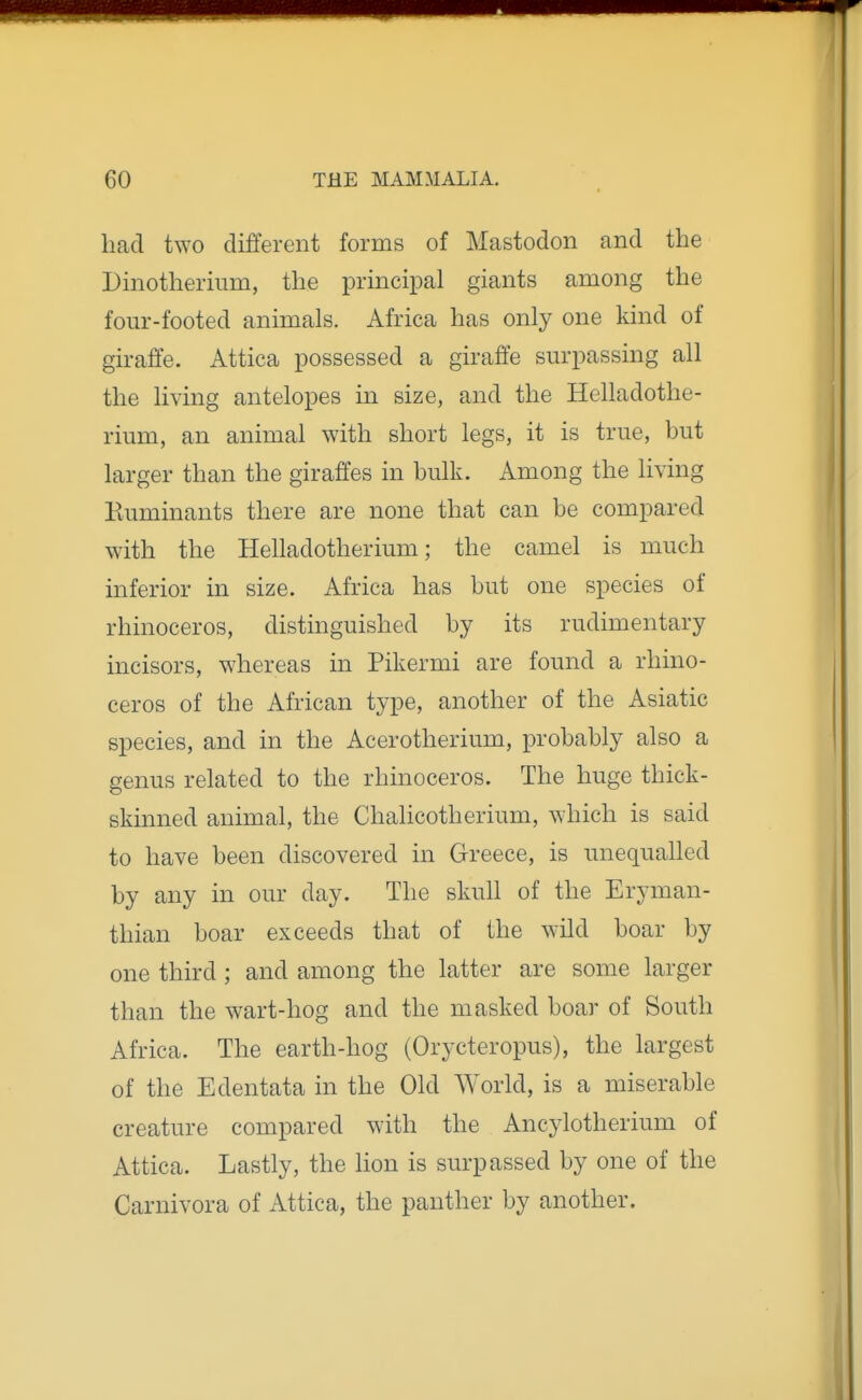 had two dififerent forms of Mastodon and the Dinotherium, the prmcipal giants among the four-footed animals. Africa has only one kind of giraffe. Attica possessed a giraffe surpassing all the living antelopes in size, and the Helladothe- rium, an animal with short legs, it is true, but larger than the giraffes in bulk. Among the living Kuminants there are none that can be compared with the Helladotherium; the camel is much inferior in size. Africa has but one species of rhinoceros, distinguished by its rudimentary incisors, whereas in Pikermi are found a rhino- ceros of the African type, another of the Asiatic species, and in the Acerotherium, probably also a genus related to the rhinoceros. The huge thick- skinned animal, the Chalicotherium, which is said to have been discovered in Greece, is unequalled by any in our day. The skull of the Eryman- thian boar exceeds that of the wild boar by one third; and among the latter are some larger than the wart-hog and the masked boar of South Africa. The earth-hog (Orycteropus), the largest of the Edentata in the Old World, is a miserable creature compared with the Ancylotherium of Attica. Lastly, the lion is surpassed by one of the Carnivora of Attica, the panther by another.