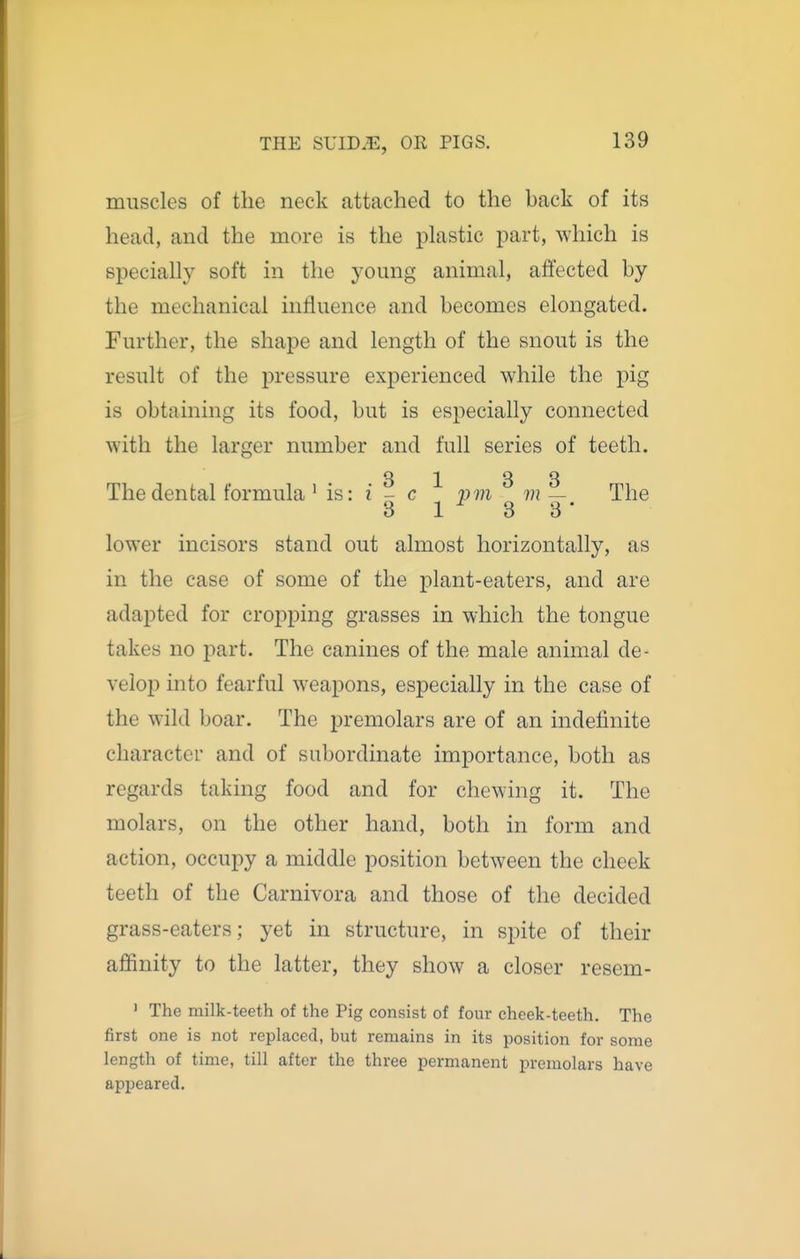 muscles of the neck attached to the back of its head, and the more is the plastic part, which is specially soft in the young animal, affected by the mechanical influence and becomes elongated. Further, the shape and length of the snout is the result of the pressure experienced while the pig is obtaining its food, but is especially connected with the larger number and full series of teeth. 8 1 3 3 The dental formula ' is: i - c pm m — The 3 1 ^ 3 3 • lower incisors stand out almost horizontally, as in the case of some of the plant-eaters, and are adapted for cropping grasses in which the tongue takes no part. The canines of the male animal de- velop) into fearful weapons, especially in the case of the wild boar. The premolars are of an indefinite character and of subordinate importance, both as regards taking food and for chewing it. The molars, on the other hand, both in form and action, occupy a middle position between the cheek teeth of the Carnivora and those of the decided grass-eaters; yet in structure, in spite of their affinity to the latter, they show a closer resem- ' The milk-teeth of the Pig consist of four cheek-teeth. The first one is not replaced, but remains in its position for some length of time, till after the three permanent premolars have appeared.