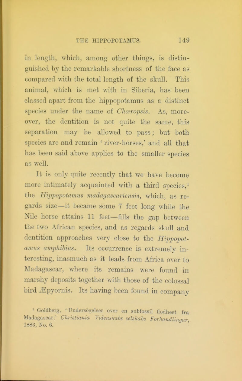 in length, which, among other things, is distin- guished by the remarkable shortness of the face as compared with the total length of the skull. This animal, which is met with in Siberia, has been classed apart from the hippopotamus as a distinct species under the name of Cha'ro])sis. As, more- over, the dentition is not quite the same, this separation may be allowed to pass; but both species are and remain ' river-horses,' and all that has been said above applies to the smaller species as well. It is only quite recently that we have become more intimately acquainted with a third species,^ the JUppopotamus madagascariensis, which, as re- gards size—it became some 7 feet long while the Nile horse attains 11 feet—fills the gap between the two African species, and as regards skull and dentition approaches very close to the ITippopot- anuis ampJiibiiis. Its occurrence is extremely in- teresting, inasmuch as it leads from Africa over to Madagascar, where its remains were found in marshy deposits together with those of the colossal bird aEpyornis. Its having l)een found in company ' Goldberg, ' Undersogelser over en subfossil flodhest fra Madagascar,' Christiania Videnskabs selskabs Forhaiidlingar, 1888, No. 6.