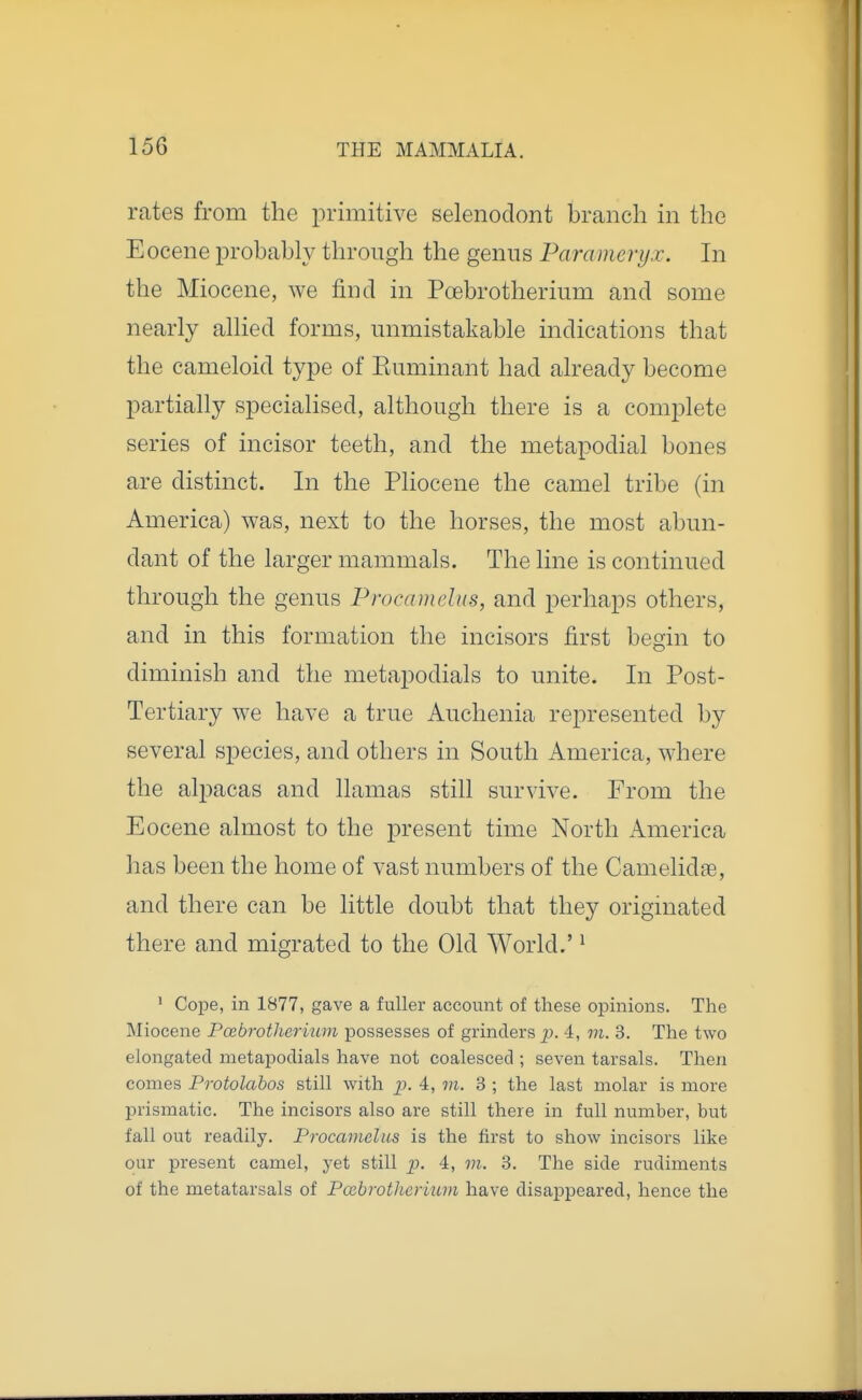 rates from the primitive selenodont branch in the Eocene probably through the genus Parameryx. In the Miocene, we find in Poebrotherium and some nearly allied forms, unmistakable indications that the cameloid type of Euminant had already become partially specialised, although there is a complete series of incisor teeth, and the metapodial bones are distinct. In the Pliocene the camel tribe (in America) was, next to the horses, the most abun- dant of the larger mammals. The line is continued through the genus Procamclus, and perhaps others, and in this formation the incisors first begin to diminish and the metapodials to unite. In Post- Tertiary we have a true Auchenia represented by several species, and others in South America, where the alpacas and llamas still survive. From the Eocene almost to the present time North America has been the home of vast numbers of the Camelidfe, and there can be little doubt that they originated there and migrated to the Old World.' ^ ' Cope, in 1877, gave a fuller account of these opinions. The Miocene Poebrotherium possesses of grinders p. 4, vi. 3. The two elongated metapodials have not coalesced ; seven tarsals. Then comes Protolabos still with j)- 4, m. 3 ; the last molar is more prismatic. The incisors also are still there in full number, but fall out readily. Procamclus is the first to show incisors like our present camel, yet still jj). 4, in. 3. The side rudiments of the metatarsals of Pcubrotherium have disappeared, hence the