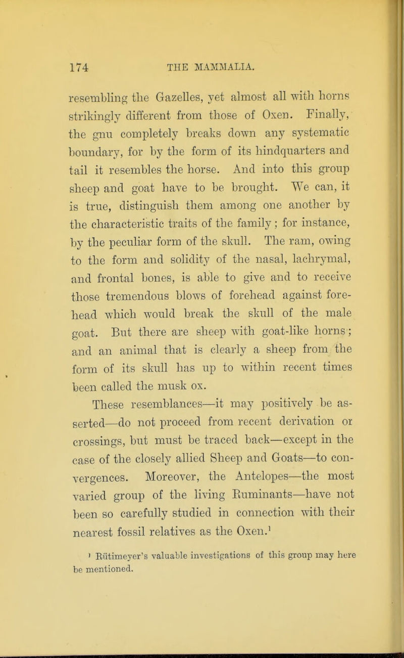 resembling the Gazelles, yet almost all with horns strikingly different from those of Oxen. Finally, the gnu completely breaks clown any systematic boundary, for by the form of its hindquarters and tail it resembles the horse. And into this group sheep and goat have to be brought. We can, it is true, distinguish them among one another by the characteristic traits of the family ; for instance, by the peculiar form of the skull. The ram, owing to the form and solidity of the nasal, lachrymal, and frontal bones, is able to give and to receive those tremendous blows of forehead against fore- head which would break the skull of the male goat. But there are sheep with goat-like horns ; and an animal that is clearly a sheep from the form of its skull has up to within recent times been called the musk ox. These resemblances—it may positively be as- ggj.^ed—do not proceed from recent derivation or crossings, but must be traced back—except in the case of the closely ahied Sheep and Goats—to con- vergences. Moreover, the Antelopes—the most varied group of the living Euminants—have not been so carefully studied in connection with their nearest fossil relatives as the Oxen.' ' Eiitimeyer's valuable investigations of this group may here be mentioned.