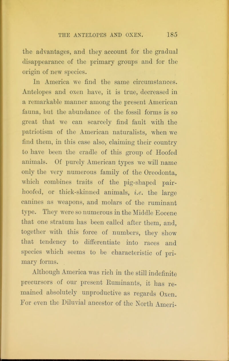 the advantages, and they account for the gradual disappearance of the primary groups and for the origin of new species. In America we find the same circumstances. Antelopes and oxen have, it is true, decreased in a remarkable manner among the present American fauna, but the abundance of the fossil forms is so great that we can scarcely find fault with the patriotism of the American naturalists, when we find them, in this case also, claiming their country to have been the cradle of this group of Hoofed animals. Of purely American types we will name only the very numerous family of the Oreodonta, which combines traits of the pig-shaped pair- hoofed, or thick-skinned animals, i.e. the large canines as weapons, and molars of the ruminant type. They were so numerous in the Middle Eocene that one stratum has been called after them, and, together with this force of numbers, they show that tendency to differentiate into races and species which seems to be characteristic of pri- mary forms. Although America was rich in the still indefinite precursors of our present Ruminants, it has re- mained absolutely unproductive as regards Oxen. For even the Diluvial ancestor of the North Ameri-