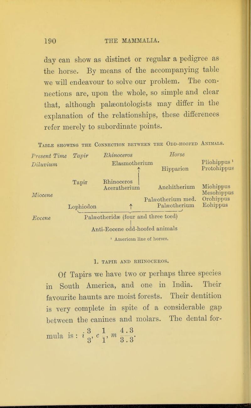 day can show as distinct or regular a pedigree as the horse. By means of the accompanjdng table we will endeavour to solve our problem. The con- nections are, upon the whole, so simple and clear that, although palaeontologists may differ in the explanation of the relationships, these differences refer merely to subordinate points. Table showing the Connection between the Odd-hoofed Animals. Horse Pliohippus ' Present Time Tapir Diluvium Rhinoceros Elasniotherium Miocene Eocene Tapir Lophiodon Hipparion Protohippus Rhinoceros Aceratherium Anchitherium Miohippus Mesohippus Palfeotherium med. Orohippus Palajotherium Eohippus Palseotheridse (four and three toed) Anti-Eocene odd-hoofed animals ' American line of horses. 1. TAPIR AND RHINOCEROS. Of Tapirs we have two or perhaps three species in South America, and one in India. Their favourite haunts are moist forests. Their dentition is very complete in spite of a considerable gap between the canines and molars. The dental for- ,..31 4.3 mula is : ? ^, c , m -