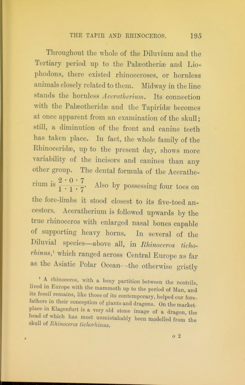Throughout the whole of the Diluvium and the Tertiary period up to the Pahneotherire and Lio- phodons, there existed rhinoceroses, or hornless animals closely related to them. Midway in the line stands the hornless Aceratherium. Its connection with the Palasotheridae and the Tapiridas becomes at once apparent from an examination of the skull; still, a diminution of the front and canine teeth has taken place. In fact, the whole family of the RhinoceridcT, up to the present day, shows more variability of the incisors and canines than any other group. The dental formula of the Acerathe- . 2 • 0 • 7 rmm is ^ .n^- Also by possessing four toes on the fore-limbs it stood closest to its five-toed an- cestors. Aceratherium is followed upwards by the true rhinoceros with enlarged nasal bones capable of supporting heavy horns. In several of the Diluvial species—above all, in Rhinoceros ticho- rhinus,' which ranged across Central Europe as far as the Asiatic Polar Ocean- -the otherwise gristly • A rhinoceros, with a bony partition between the nostrils lived in Europe with the mammoth up to the period of Man, and Its fossil remains, like those of its contemporary, helped our fore- fathers in their conception of giants and dragons. On the market- place in Klagenfurt is a very old stone image of a dragon, the head of which has most unmistakably been modelled from the skull of Rhinoceros tichorhinus. 0 2