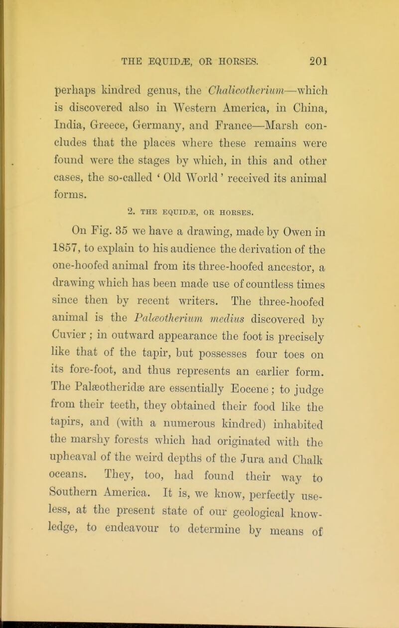 perhaps kindred genus, the Chalicothcrium—which is discovered also in Western America, in China, India, Greece, Germany, and France—Marsh con- cludes that the places where these remains were found were the stages by which, in this and other cases, the so-called ' Old World' received its animal forms. 2. THE EQUID.E, OR HOESES. On Fig. 35 we have a drawing, made by Owen in 1857, to explain to his audience the derivation of the one-hoofed animal from its three-hoofed ancestor, a drawing which has been made use of countless times since then by recent writers. The three-hoofed animal is the PaUeotherium medius discovered by Cuvier ; in outward appearance the foot is precisely like that of the tapir, but possesses four toes on its fore-foot, and thus represents an earlier form. The Palaeotheridse are essentially Eocene; to judge from their teeth, they obtained their food like the tapirs, and (with a numerous kindred) inhabited the marshy forests which had originated with the upheaval of the weird depths of the Jura and Chalk oceans. They, too, had found their way to Southern America. It is, we know, perfectly use- less, at the present state of our geological know- ledge, to endeavour to determine by means of