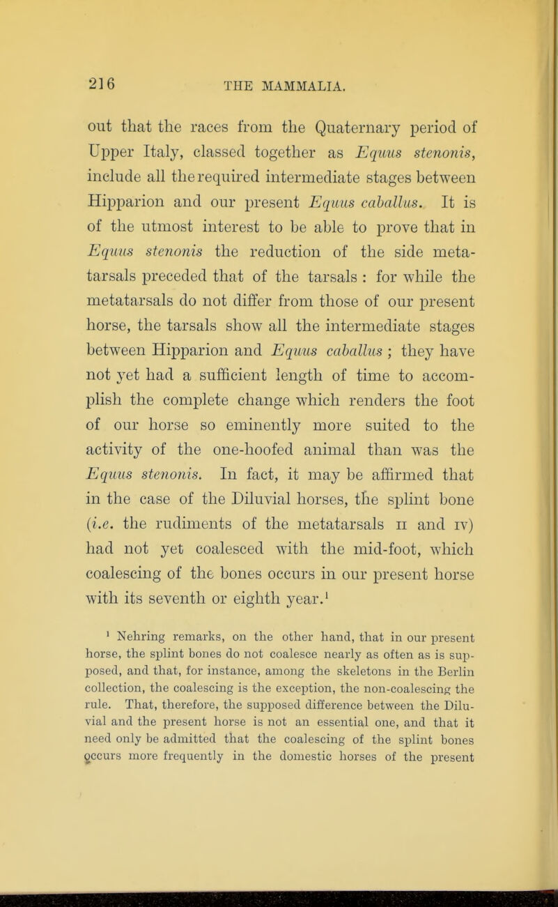 out that the races from the Quaternary period of Upper Italy, classed together as Equus stenonis, include all the required intermediate stages between HiiDparion and our present Equus cahallus. It is of the utmost interest to be able to prove that in Equm stenonis the reduction of the side meta- tarsals preceded that of the tarsals : for while the metatarsals do not differ from those of our present horse, the tarsals show all the intermediate stages between Hipparion and Equus cahallus ; they have not vet had a sufficient length of time to accom- plish the complete change which renders the foot of our horse so eminently more suited to the activity of the one-hoofed animal than was the Equus stenonis. In fact, it may be affirmed that in the case of the Diluvial horses, the splint bone (i.e. the rudiments of the metatarsals ii and iv) had not yet coalesced with the mid-foot, which coalescing of the bones occurs in our present horse with its seventh or eighth year.' ' Nehring remarks, on the other hand, that in our present horse, the sphnt bones do not coalesce nearly as often as is sup- posed, and that, for instance, among the skeletons in the Berlin collection, the coalescing is the exception, the non-coalescing the rule. That, therefore, the supposed difference between the Dilu- vial and the present horse is not an essential one, and that it need only be admitted that the coalescing of the splint bones gccurs more frequently in the domestic horses of the present