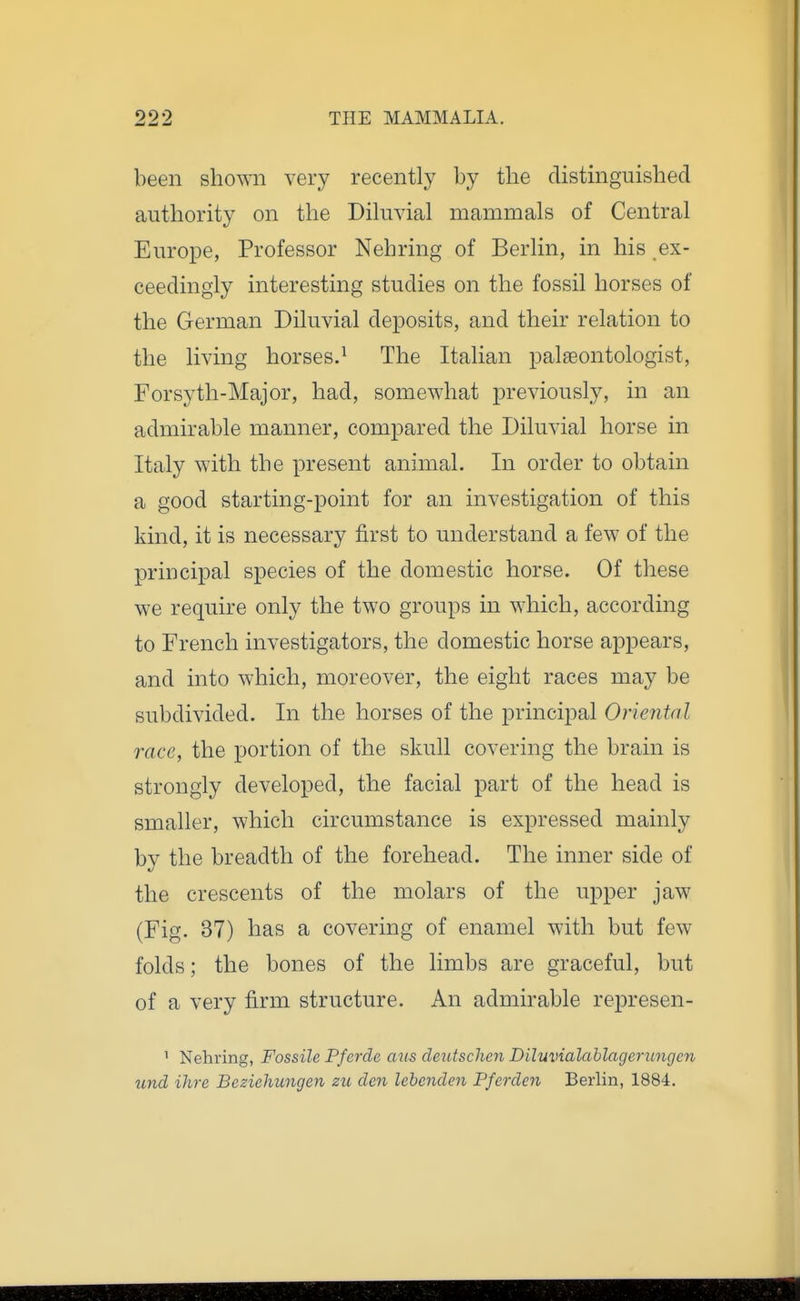 been shown very recently by the distinguished authority on the Dihivial mammals of Central Europe, Professor Nehring of Berlin, in his ex- ceedingly interesting studies on the fossil horses of the German Diluvial deposits, and their relation to the living horses.^ The Italian paleontologist, Forsyth-Major, had, somewhat previously, in an admirable manner, compared the Diluvial horse in Italy with the present animal. In order to obtain a good starting-point for an investigation of this kind, it is necessary first to understand a few of the principal species of the domestic horse. Of these we require only the two groups in which, according to French investigators, the domestic horse appears, and into which, moreover, the eight races may be subdivided. In the horses of the principal Ojiental race, the portion of the skull covering the brain is strongly developed, the facial part of the head is smaller, which circumstance is expressed mainly by the breadth of the forehead. The inner side of the crescents of the molars of the upper jaw (Fig. 37) has a covering of enamel with but few folds; the bones of the limbs are graceful, but of a very firm structure. An admirable re]3resen- ' Nehring, Fossile Pferde aus deutschen Diluvialahlagerungen und Hire Beziehungen zu den lehcnden Pferden Berlin, 1884.