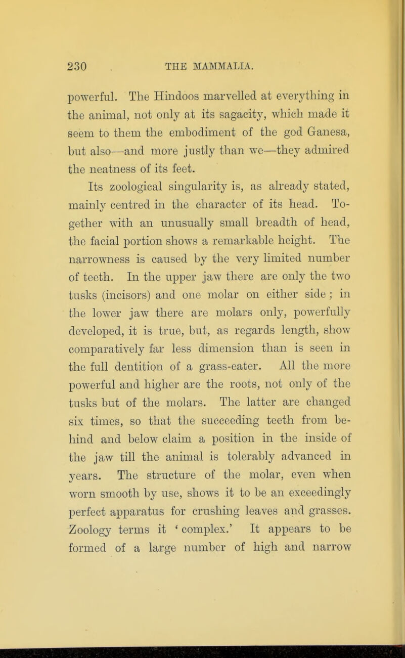 powerful. The Hindoos marvelled at everything in the animal, not only at its sagacity, which made it seem to them the embodiment of the god Ganesa, but also—and more justly than we—they admired the neatness of its feet. Its zoological singularity is, as already stated, mainly centred in the character of its head. To- gether with an unusually small breadth of head, the facial portion shows a remarkable height. The narrowness is caused by the very limited number of teeth. In the upper jaw there are only the two tusks (incisors) and one molar on either side : in the lower jaw there are molars only, powerfully developed, it is true, but, as regards length, show comparatively far less dimension than is seen in the full dentition of a grass-eater. All the more powerful and higher are the roots, not only of the tusks but of the molars. The latter are changed six times, so that the succeeding teeth from be- hind and below claim a position in the inside of the jaw till the animal is tolerably advanced in years. The structure of the molar, even when worn smooth by use, shows it to be an exceedingly perfect apparatus for crushing leaves and grasses. Zoology terms it * complex.' It appears to be formed of a large number of high and narrow