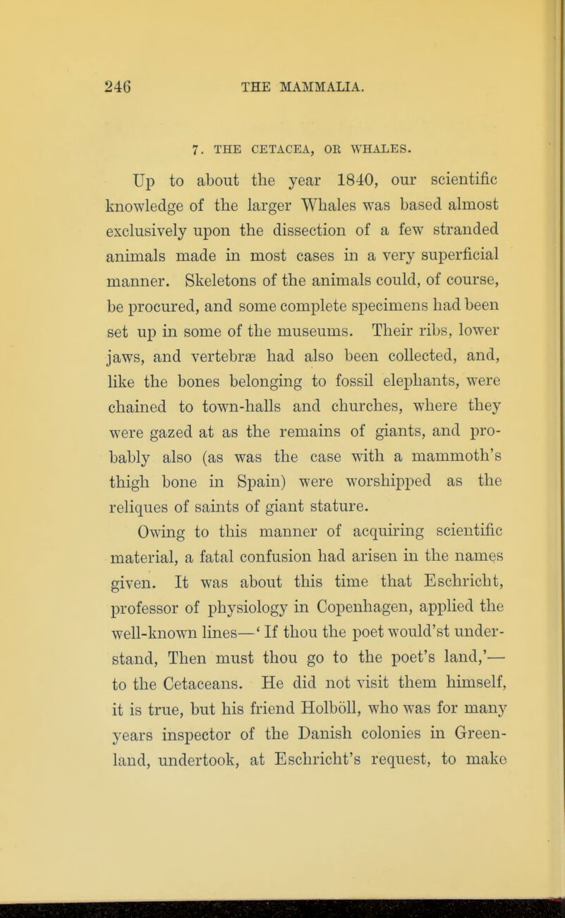 7. THE CETACEA, OR WHALES. Up to about the year 1840, our scientific knowledge of the larger Whales was based almost exclusively upon the dissection of a few stranded animals made in most cases in a very superficial manner. Skeletons of the animals could, of course, be procured, and some complete specimens had been set up in some of the museums. Their ribs, lower jaws, and vertebrae had also been collected, and, like the bones belonging to fossil elephants, were chained to town-halls and churches, where they were gazed at as the remains of giants, and pro- bably also (as was the case with a mammoth's thigh bone in Spain) were worshipped as the reliques of saints of giant stature. Owing to this manner of acquiring scientific material, a fatal confusion had arisen in the names given. It was about this time that Eschriclit, professor of physiology in Copenhagen, applied the well-known lines—' If thou the poet would'st under- stand, Then must thou go to the poet's land,'— to the Cetaceans. He did not visit them himself, it is true, but his friend Holboll, who was for many years inspector of the Danish colonies in Green- land, undertook, at Eschricht's request, to make