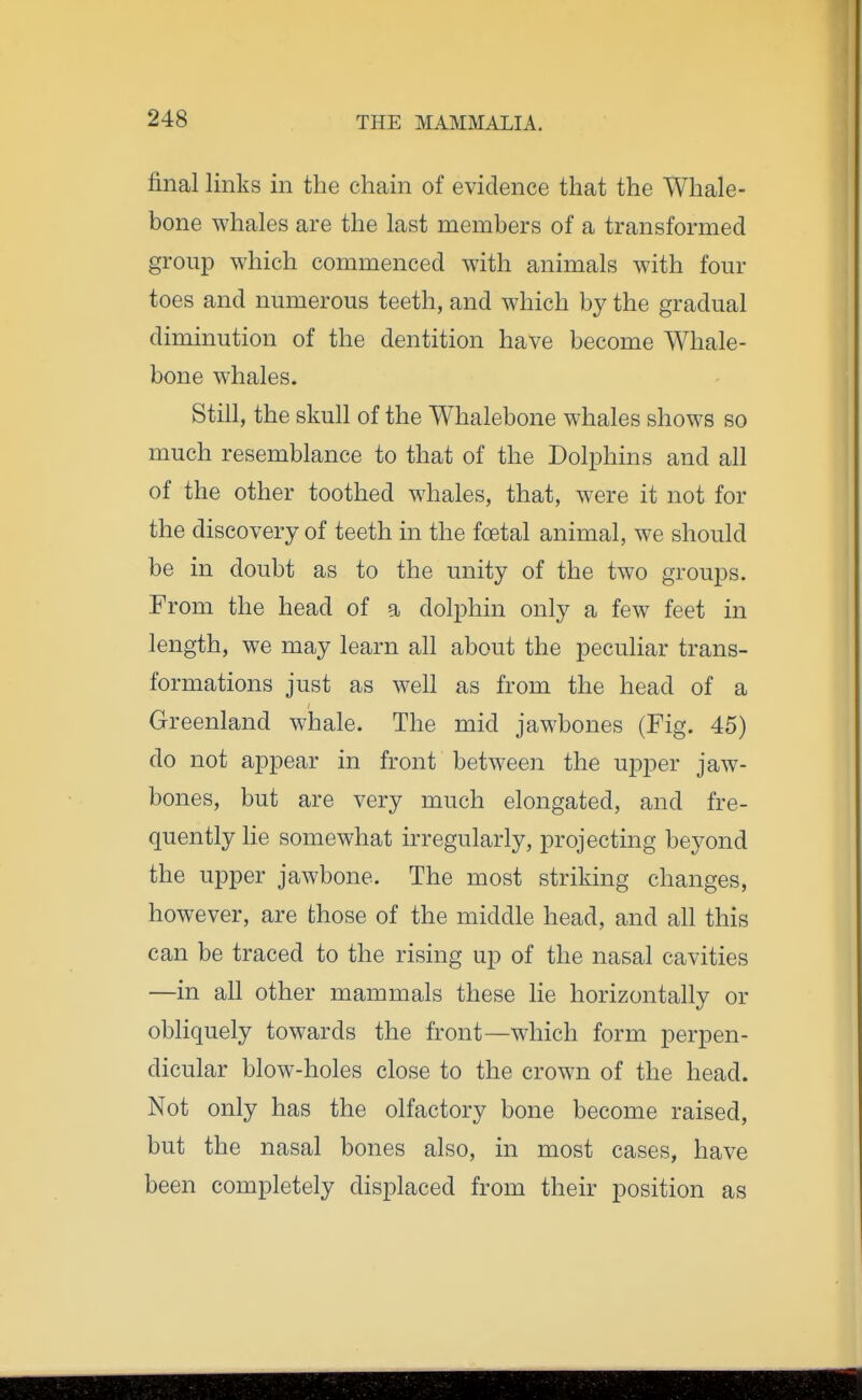 final links in the chain of evidence that the Whale- bone whales are the last members of a transformed group which commenced with animals with four toes and numerous teeth, and which by the gradual diminution of the dentition have become Whale- bone whales. Still, the skull of the Whalebone whales shows so much resemblance to that of the Dolphins and all of the other toothed whales, that, were it not for the discovery of teeth in the foetal animal, we should be in doubt as to the unity of the two groups. From the head of a dolphin only a few feet in length, we may learn all about the peculiar trans- formations just as well as from the head of a Greenland whale. The mid jawbones (Fig. 45) do not appear in front between the uj^per jaw- bones, but are very much elongated, and fre- quently lie somewhat irregularly, projecting beyond the upper jawbone. The most striking changes, however, are those of the middle head, and all this can be traced to the rising up of the nasal cavities —in all other mammals these lie horizontally or obliquely towards the front—which form perpen- dicular blow-holes close to the crown of the head. Not only has the olfactory bone become raised, but the nasal bones also, in most cases, have been completely disjDlaced from their position as