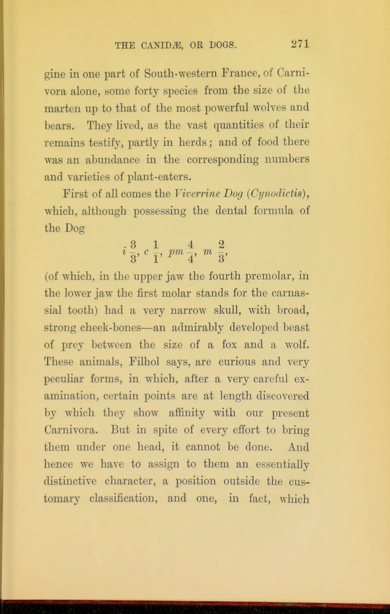 gine in one part of South-western France, of Carni- vora alone, some forty species from the size of the marten up to that of the most powerful wolves and bears. They lived, as the vast quantities of their remains testify, partly in herds; and of food there was an abundance in the corresponding numbers and varieties of plant-eaters. First of all comes the Viverrine Dog [Cynodictis), which, although possessing the dental formula of the Dog .31 4 2 ^ 3, c J, ^, m g, (of which, in the upper jaw the fourth premolar, in the lower jaw the first molar stands for the carnas- sial tooth) had a very narrow skull, with broad, strong cheek-bones—an admirably developed beast of prey between the size of a fox and a wolf. These animals, Filhol says, are curious and very peculiar forms, in which, after a very careful ex- amination, certain points are at length discovered by which they show affinity with our present Carnivora. But in spite of every effort to bring them under one head, it cannot be done. And hence we have to assign to them an essentially distinctive character, a position outside the cus- tomary classification, and one, in fact, which