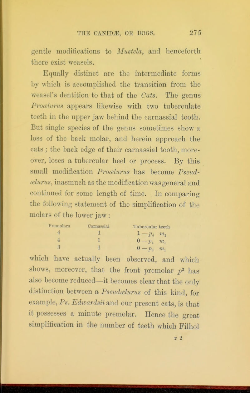 gentle modifications to Mustcla, and henceforth there exist weasels. Equally distinct are the intermediate forms by which is accomplished the transition from the weasel's dentition to that of the Cats. The genus Proielurus appears likewise with two tuberculate teeth in the upper jaw behind the carnassial tooth. But single species of the genus sometimes show a loss of the back molar, and herein approach the cats ; the back edge of their carnassial tooth, more- over, loses a tubercular heel or process. By this small modification Procslums has become Pseud- celurus, inasmuch as the modification was general and continued for some length of time. In comparing the following statement of the simplification of the molars of the lower jaw: Premolars Carnassial Tubercular teeth which have actually been observed, and which shows, moreover, that the front premolar jj^s also become reduced—it becomes clear that the only distinction between a Pseudalurus of this kind, for example, Ps. Edwardsii and our present cats, is that it possesses a minute premolar. Hence the great simplification in the number of teeth which Filhol 4 4 3 1 1 1 1 —p,^ 0 —j^,, m, 0 —jDj mj T 2