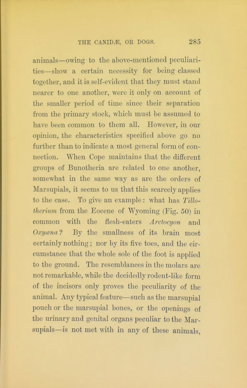 animals—owing to the above-mentioned peculiari- ties—show a certain necessit}'' for being classed together, and it is self-evident that they must stand nearer to one another, were it only on account of the smaller period of time since their separation from the primary stock, which must be assumed to have been common to them all. However, in our opinion, the characteristics specified above go no further than to indicate a most general form of con- nection. When Cope maintains that the different groups of Bunotheria are related to one another, somewhat in the same waj^ as are the orders of Marsupials, it seems to us that this scarcely applies to the case. To give an example : what has Tillo- therium from the Eocene of Wyoming (Fig. 50) in common with the flesh-eaters Arctocyon and Oxycena ? By the smallness of its brain most certainly nothing; nor by its five toes, and the cir- cumstance that the whole sole of the foot is applied to the ground. The resemblances in the molars are not remarkable, while the decidedly rodent-like form of the incisors only proves the peculiarity of the animal. Any typical feature—such as the marsupial pouch or the marsupial bones, or the openings of the urinary and genital organs peculiar to the Mar- supials—is not met with in any of these animals.