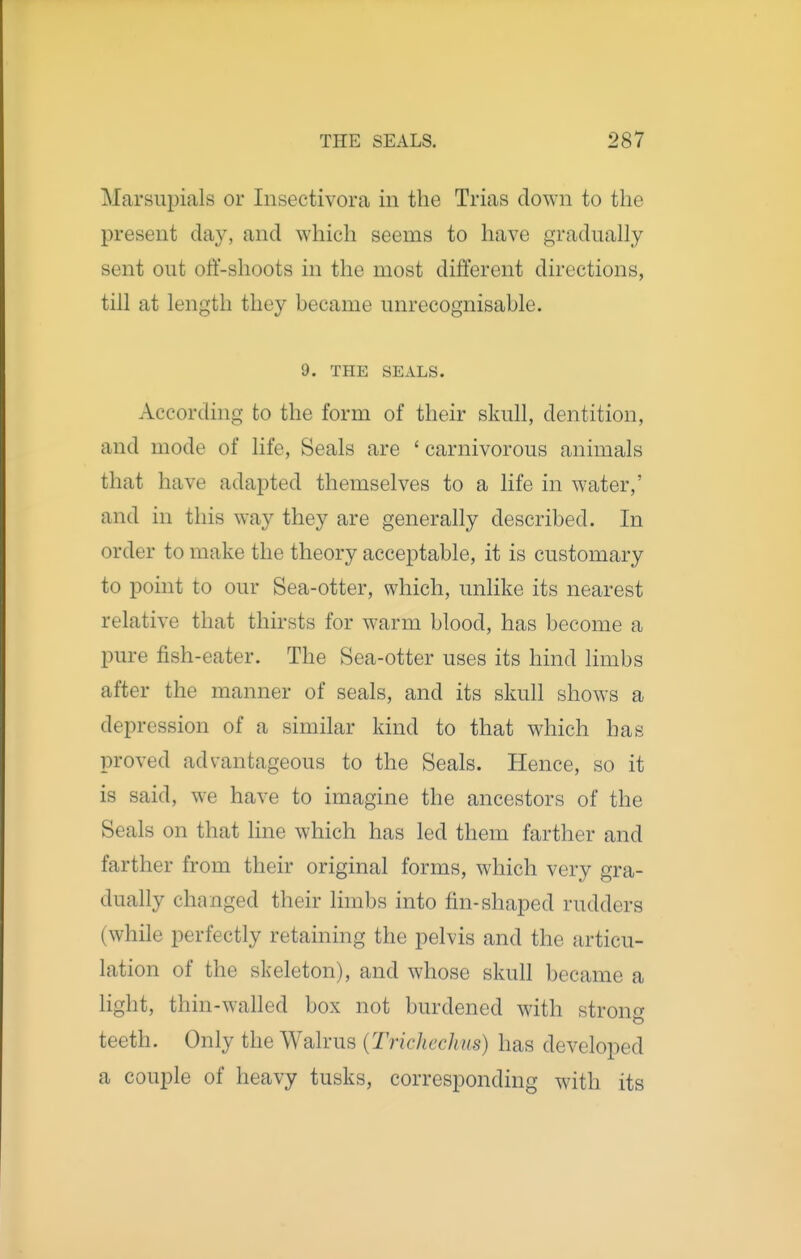 Marsupials or Insectivora in the Trias down to the present day, and which seems to have graduahy sent out off-shoots in the most different directions, till at length they became unrecognisable. 9. THE SEALS. According to the form of their skull, dentition, and mode of life, Seals are ' carnivorous animals that have adapted themselves to a life in water,' and in this way they are generally described. In order to make the theory acceptable, it is customary to point to our Sea-otter, which, unlike its nearest relative that thirsts for warm blood, has become a pure fish-eater. The Sea-otter uses its hind limbs after the manner of seals, and its skull shows a depression of a similar kind to that which has proved advantageous to the Seals. Hence, so it is said, we have to imagine the ancestors of the Seals on that line which has led them farther and farther from their original forms, which very gra- dually changed their limbs into fin-shaped rudders (while perfectly retaining the pelvis and the articu- lation of the skeleton), and whose skull became a light, thin-walled box not burdened with stron^^ teeth. Only the Walrus {Trichechiis) has developed a couple of heavy tusks, corresponding with its