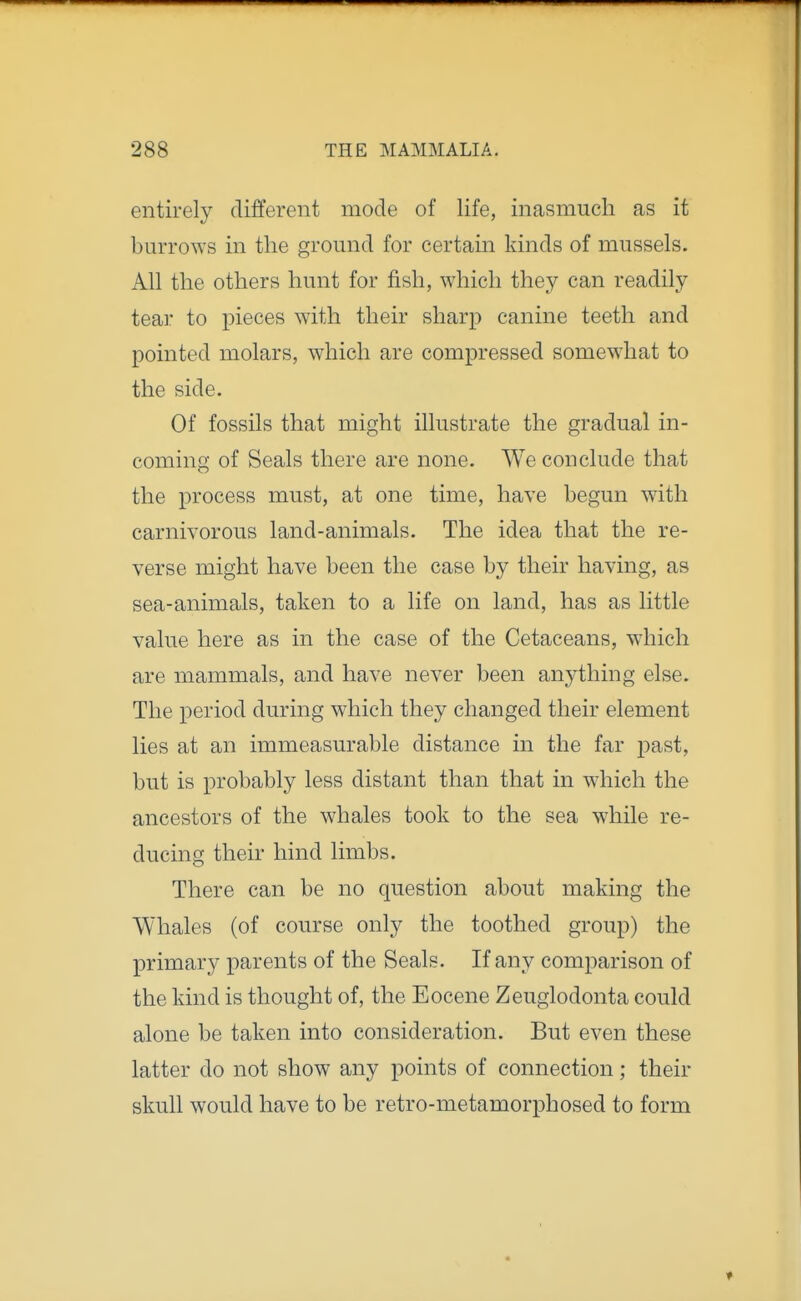 entirely different mode of life, inasmuch as it burrows in the ground for certain kinds of mussels. All the others hunt for fish, which they can readily tear to pieces with their sharp canine teeth and pointed molars, which are compressed somewhat to the side. Of fossils that might illustrate the gradual in- coming of Seals there are none. We conclude that the process must, at one time, have begun with carnivorous land-animals. The idea that the re- verse might have been the case by their having, as sea-animals, taken to a life on land, has as little value here as in the case of the Cetaceans, which are mammals, and have never been anything else. The period during which they changed their element lies at an immeasurable distance in the far past, but is probably less distant than that in which the ancestors of the whales took to the sea while re- ducing their hind limbs. There can be no question about making the Whales (of course only the toothed group) the primary parents of the Seals. If any comparison of the kind is thought of, the Eocene Zeuglodonta could alone be taken into consideration. But even these latter do not show any points of connection; their skull would have to be retro-metamorphosed to form