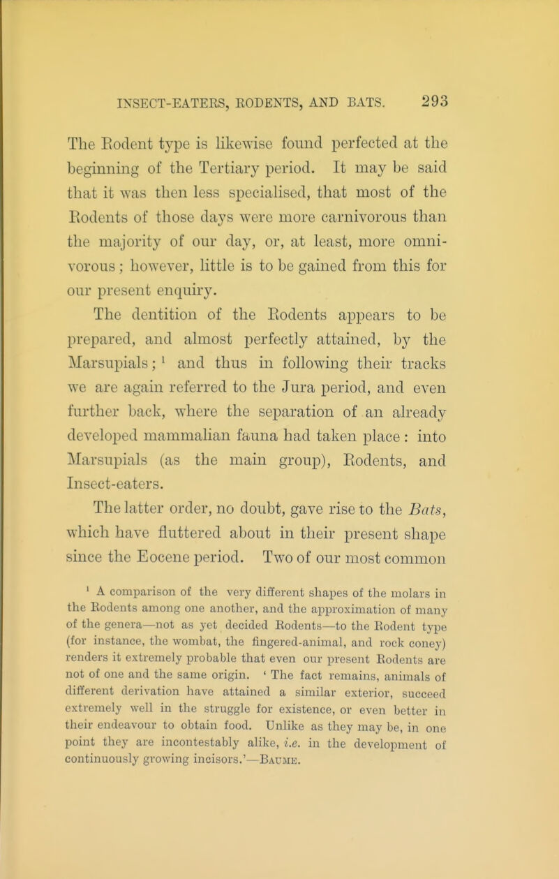 The Eodent type is likewise found perfected at the beginning of the Tertiary period. It may be said that it was then less specialised, that most of the Rodents of those days were more carnivorous than the majority of om- day, or, at least, more omni- vorous ; however, little is to be gained from this for our present enquiry. The dentition of the Rodents appears to be prepared, and almost perfectly attained, by the Marsupials; ^ and thus in following their tracks we are again referred to the Jura period, and even further back, where the separation of an already developed mammalian fauna had taken place : into Marsupials (as the main group), Rodents, and Insect-eaters. The latter order, no doubt, gave rise to the Bats, which have fluttered about in their present shape since the Eocene period. Two of our most common ' A comparison of the very different shapes of the molars in the Rodents among one another, and the approximation of many of the genera—not as yet decided Rodents—to the Rodent type (for instance, the wombat, the fingered-animal, and rock coney) renders it extremely probable that even our present Rodents are not of one and the same origin. ' The fact remains, animals of different derivation have attained a similar exterior, succeed extremely well in the struggle for existence, or even better in their endeavour to obtain food. Unlike as they may be, in one point they are incontestably alike, i.e. in the development of continuously growing incisors,'—Baujik.