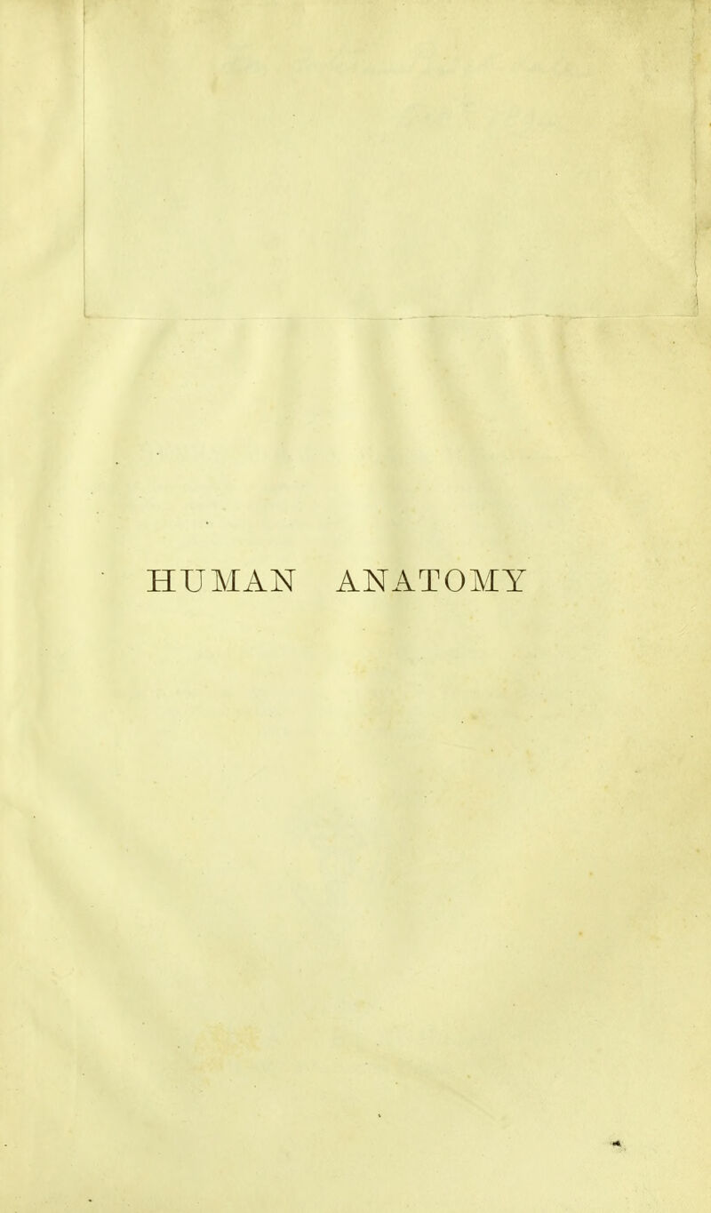 HUMAN ANATOMY