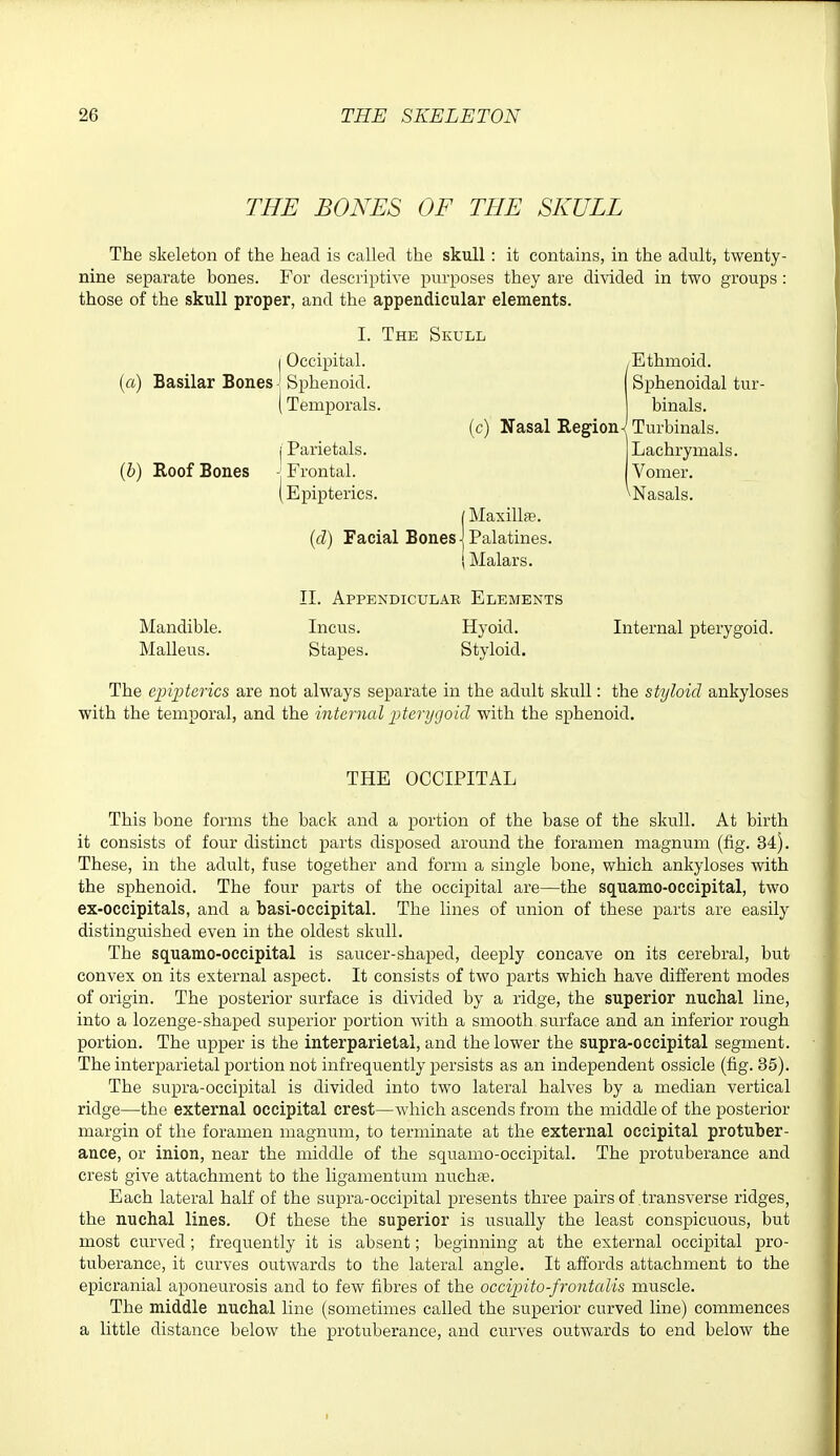 THE BONES OF THE SKULL The skeleton of the head is called the skull: it contains, in the adult, twenty- nine separate bones. For descriptive purposes they are divided in two groups: those of the skull proper, and the appendicular elements. I. The Skull j Occipital, (a) Basilar Bones-'Sphenoid. I Temporals. [b) Roof Bones Mandible. Malleus. j Parietals. : Frontal. (Epipterics. I Maxillae. {d) Facial Bones] Palatines. i Malar s. II. Appendicular Elements Incus. Hyoid. (Ethmoid. Sphenoidal tur- binals. Turbinals. Lachrymals. Vomer. ^Nasals. Stapes. Styloid. Internal pterygoid. The epipterics are not always separate in the adult skull: the styloid ankyloses with the temporal, and the internal pterygoid with the sphenoid. THE OCCIPITAL This bone forms the back and a portion of the base of the skull. At birth it consists of four distinct parts disposed around the foramen magnum (fig. 34). These, in the adult, fuse together and form a single bone, which ankyloses with the sphenoid. The four parts of the occipital are—the squamo-occipital, two ex-occipitals, and a basi-occipital. The lines of union of these parts are easily distinguished even in the oldest skull. The sc[uarao-occipital is saucer-shaped, deeply concave on its cerebral, but convex on its external aspect. It consists of two parts which have different modes of origin. The posterior surface is divided by a ridge, the superior nuchal line, into a lozenge-shaped superior portion with a smooth surface and an inferior rough portion. The upper is the interparietal, and the lower the supra-occipital segment. The interparietal portion not infrequently persists as an independent ossicle (fig. 35). The supra-occipital is divided into two lateral halves by a median vertical ridge—the external occipital crest—which ascends from the middle of the posterior margin of the foramen magnum, to terminate at the external occipital protuber- ance, or inion, near the middle of the squamo-occipital. The protuberance and crest give attachment to the ligamentum nuchfe. Each lateral half of the supra-occipital presents three pairs of transverse ridges, the nuchal lines. Of these the superior is usually the least conspicuous, but most curved; frequently it is absent; beginning at the external occipital pro- tuberance, it curves outwards to the lateral angle. It affords attachment to the epicranial aponeurosis and to few fibres of the occipito-frontalis muscle. The middle nuchal line (sometimes called the superior curved line) commences a little distance below the protuberance, and curves outwards to end below the