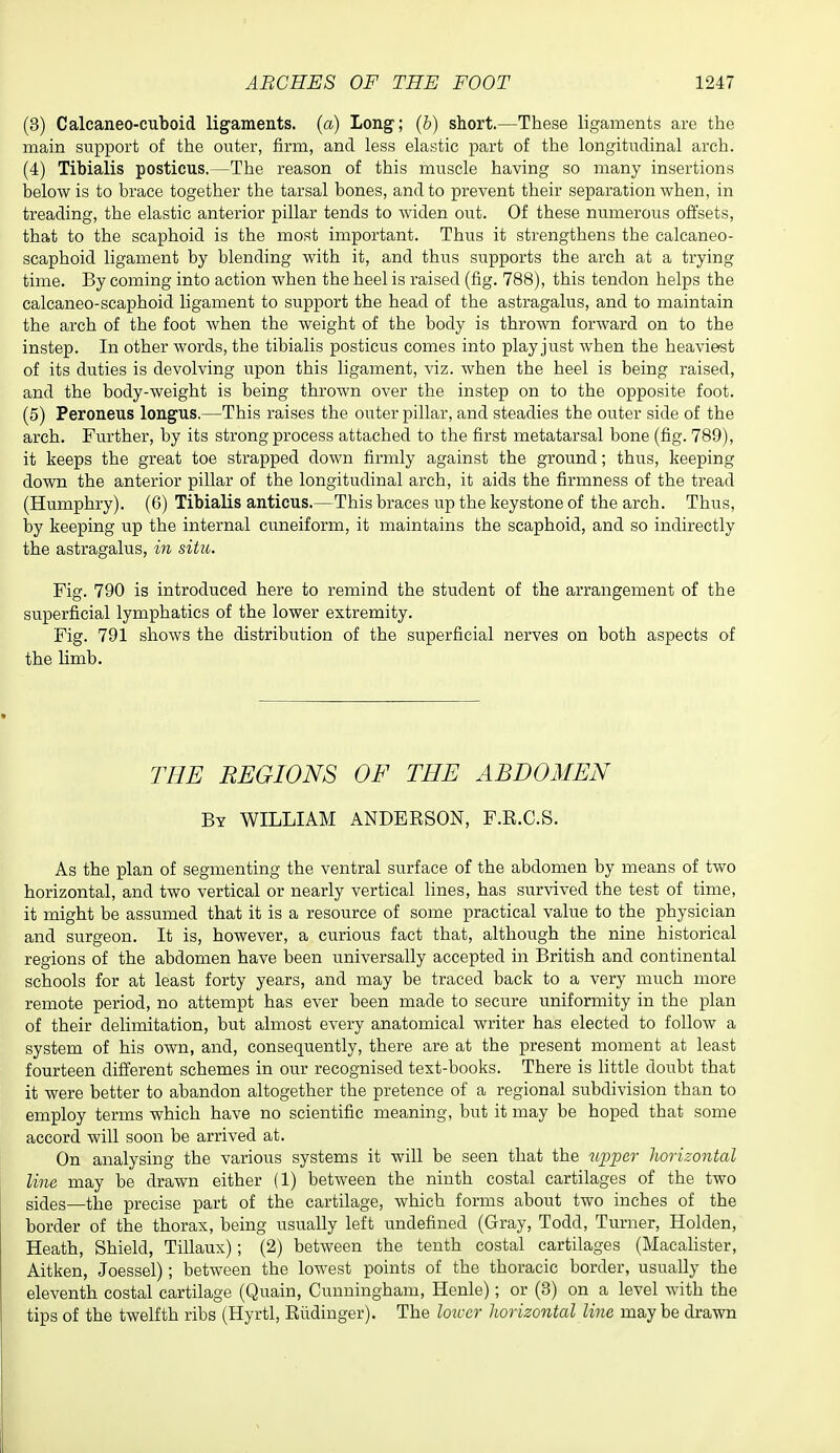 (3) Calcaneo-cuboid ligaments, {a) Long; (6) short.—These ligaments are the main support of the outer, firm, and less elastic part of the longitudinal arch. (4) Tibialis posticus.—The reason of this muscle having so many insertions below is to brace together the tarsal bones, and to prevent their separation when, in treading, the elastic anterior pillar tends to widen out. Of these numerous offsets, that to the scaphoid is the most important. Thus it strengthens the calcaneo- scaphoid ligament by blending with it, and thus supports the arch at a trying time. By coming into action when the heel is raised (fig. 788), this tendon helps the calcaneo-scaphoid ligament to support the head of the astragalus, and to maintain the arch of the foot when the weight of the body is thrown forward on to the instep. In other words, the tibialis posticus comes into play just when the heaviest of its duties is devolving upon this ligament, viz. when the heel is being raised, and the body-weight is being thrown over the instep on to the opposite foot. (5) Peroneus longus.—This raises the outer pillar, and steadies the outer side of the arch. Further, by its strong process attached to the first metatarsal bone (fig. 789), it keeps the great toe strapped down firmly against the ground; thus, keeping down the anterior pillar of the longitudinal arch, it aids the firmness of the tread (Humphry). (6) Tibialis anticus.—This braces up the keystone of the arch. Thus, by keeping up the internal cuneiform, it maintains the scaphoid, and so indirectly the astragalus, in situ. Fig. 790 is introduced here to remind the student of the arrangement of the superficial lymphatics of the lower extremity. Fig. 791 shows the distribution of the superficial nerves on both aspects of the limb. THE REGIONS OF THE ABDOMEN By WILLIAM ANDERSON, F.R.C.S. As the plan of segmenting the ventral surface of the abdomen by means of two horizontal, and two vertical or nearly vertical lines, has survived the test of time, it might be assumed that it is a resource of some practical value to the physician and surgeon. It is, however, a curious fact that, although the nine historical regions of the abdomen have been universally accepted in British and continental schools for at least forty years, and may be traced back to a very much more remote period, no attempt has ever been made to secure uniformity in the plan of their delimitation, but almost every anatomical writer has elected to follow a system of his own, and, consequently, there are at the present moment at least fourteen different schemes in our recognised text-books. There is little doubt that it were better to abandon altogether the pretence of a regional subdivision than to employ terms which have no scientific meaning, but it may be hoped that some accord will soon be arrived at. On analysing the various systems it will be seen that the Jij^per horizontal line may be drawn either (1) between the ninth costal cartilages of the two sides—the precise part of the cartilage, which forms about two inches of the border of the thorax, being usually left undefined (Gray, Todd, Turner, Holden, Heath, Shield, Tillaux); (2) between the tenth costal cartilages (Macalister, Aitken, Joessel); betw^een the lowest points of the thoracic border, usually the eleventh costal cartilage (Quain, Cunningham, Henle); or (3) on a level with the tips of the twelfth ribs (Hyrtl, Riidinger). The loicer horizontal line maybe drawn