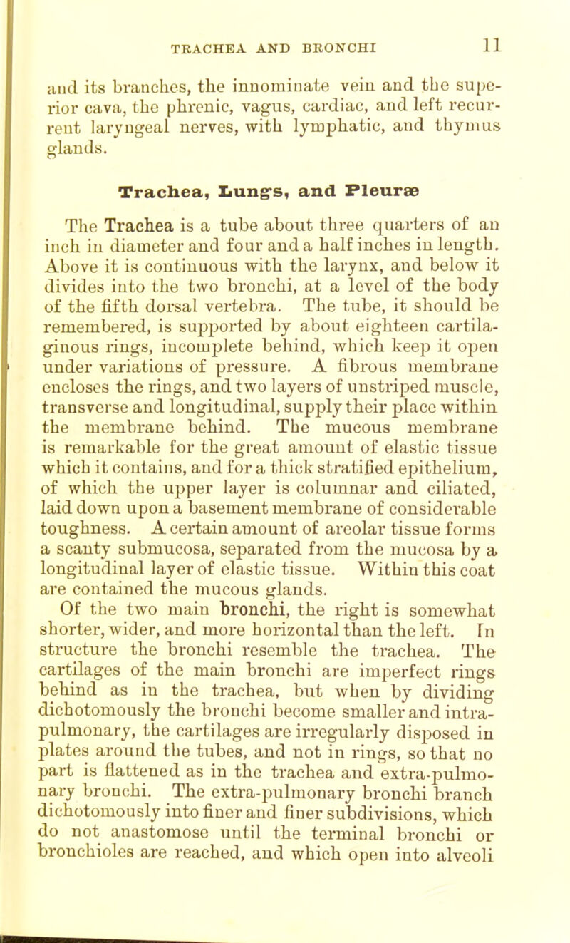 and its branches, the innominate vein and the supe- rior cava, the phrenic, vagus, cardiac, and left recur- rent laryngeal nerves, with lymphatic, and thymus glands. Tracbea, Xiung-s, and Pleurae The Trachea is a tube about three quarters of au inch in diameter and four and a half inches in length. Above it is continuous with the larynx, and below it divides into the two bronchi, at a level of the body of the fifth dorsal vertebra. The tube, it should be remembered, is supported by about eighteen cartila- ginous rings, incomj)lete behind, which keep it open under variations of pressure. A fibrous membrane encloses the rings, and two layers of unstriped muscle, transverse and longitudinal, supjjly their j)lace w^ithin the membrane behind. The mucous membrane is remarkable for the great amount of elastic tissue which it contains, and for a thick stratified epithelium, of which the upper layer is columnar and ciliated, laid down upon a basement membrane of considerable toughness. A certain amount of areolar tissue forms a scanty submucosa, sejjarated from the mucosa by a longitudinal layer of elastic tissue. Within this coat are contained the mucous glands. Of the two main bronchi, the right is somewhat shorter, wider, and more horizontal than the left, Tn structure the bronchi resemble the trachea. The cartilages of the main bronchi are imperfect rings behind as in the trachea, but when by dividing dichotomously the bronchi become smaller and intra- pulmonary, the cartilages are irregularly disposed in plates around the tubes, and not in rings, so that no part is flattened as in the trachea and extra-pulmo- nary bronchi. The extra-pulmonary bronchi branch dichotomously into finer and finer subdivisions, which do not anastomose until the terminal bronchi or bronchioles are reached, and which open into alveoli