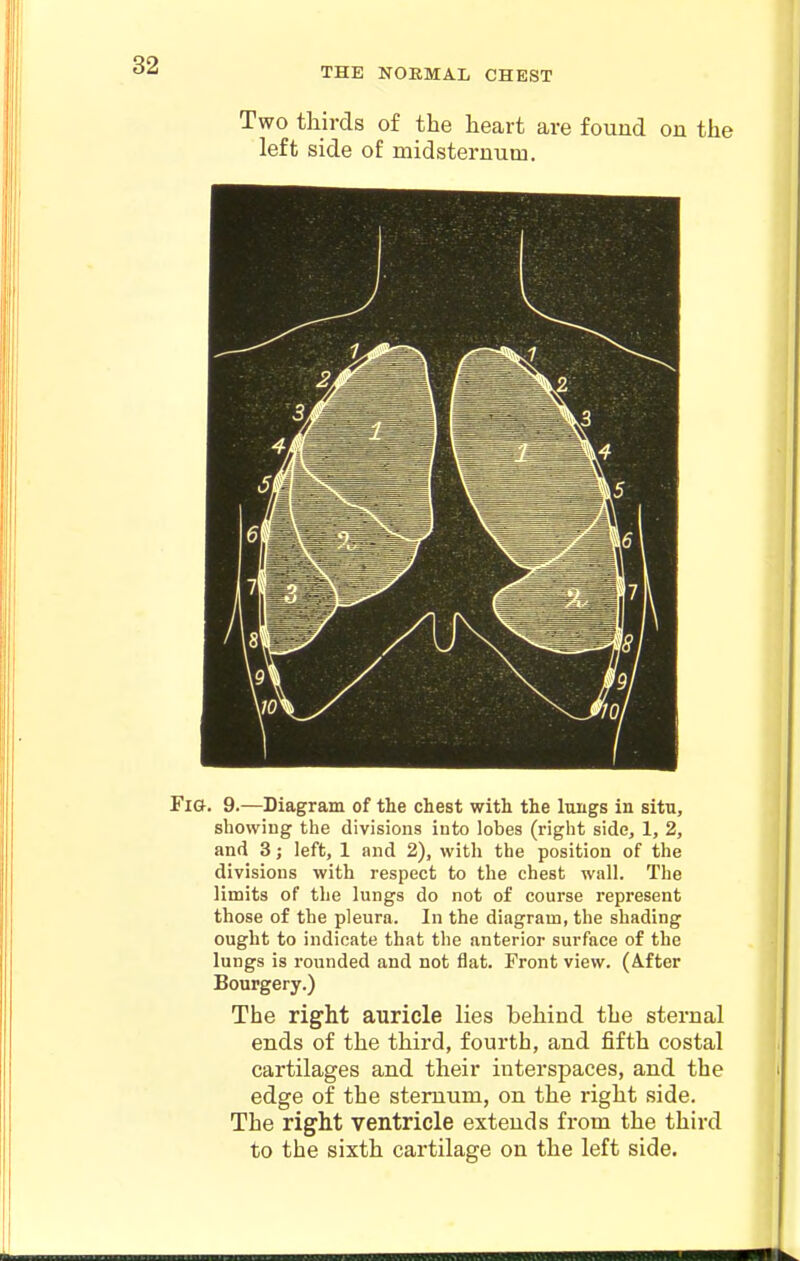 Two thirds of the heart are found on the left side of midsternum. Fia. 9.—Diagram of the chest with the lungs in situ, showing the divisions into lobes (right side, 1, 2, and 3; left, 1 and 2), with the position of the divisions with respect to the chest wall. The limits of the lungs do not of course represent those of the pleura. In the diagram, the shading ought to indicate that the anterior surface of the lungs is rounded and not flat. Front view. (Mter Bourgery.) The right auricle lies behind the sternal ends of the third, fourth, and fifth costal cartilages and their interspaces, and the edge of the sternum, on the right side. The right ventricle extends from the third to the sixth cartilage on the left side.