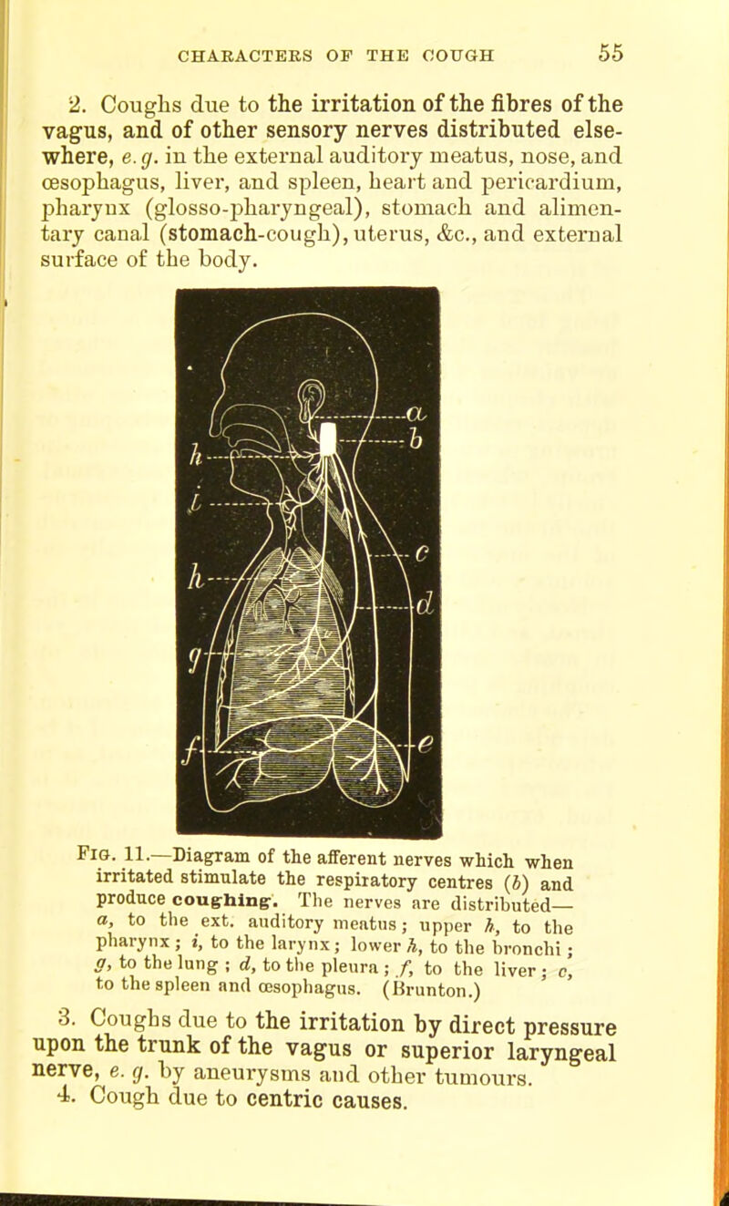 2. Coughs due to the irritation of the fibres of the vagus, and of other sensory nerves distributed else- where, e.g. iu the external auditory meatus, nose, and oesophagus, liver, and spleen, heai-t and pericardium, pharynx (glosso-isharyngeal), stomach and alimen- tary canal (stomach-cough), uterus, &c., and external surface of the body. Fig. 11.—Diagram of the afferent nerves which when irritated stimulate the respiratory centres (b) and produce cougrhlngr. The nerves are distributed— a, to the ext. auditory meatus; upper h, to the pharynx ; i, to the larynx; lower h, to the bronchi; a, to the lung ; d, to the pleura ; /, to the liver; c, to the spleen and cesophagns. (Krunton.) 3. Coughs due to the irritation by direct pressure upon the trunk of the vagus or superior laryngeal nerve, e. g. by aneurysms and other tumours. 4. Cough due to centric causes.