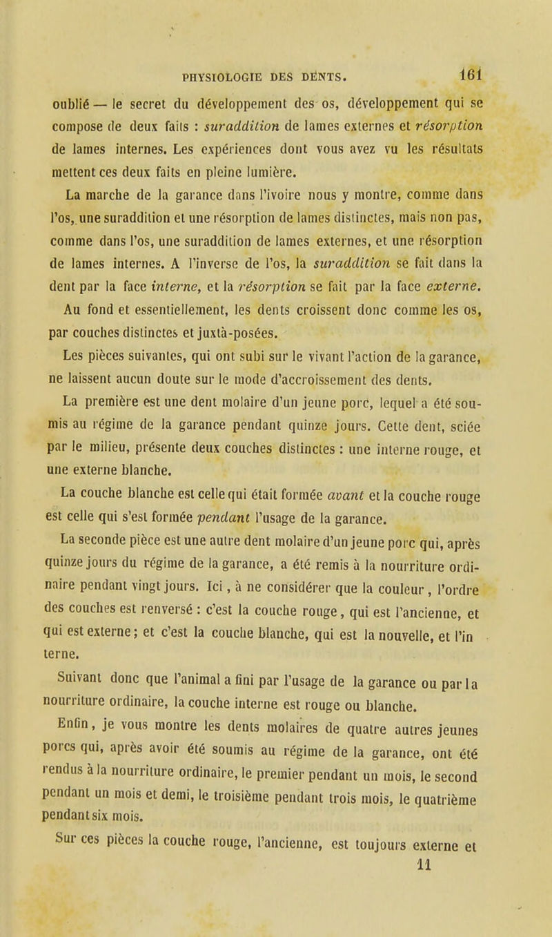 oublié — le secret du développement des os, développement qui se compose de deux faiis : suraddition de lames externes et résorption de lames internes. Les expériences dont vous avez vu les résultats mettent ces deux faits en pleine lumière. La marche de la garance dans l'ivoire nous y montre, comme dans l'os, une suraddiiion et une résorption de lames distinctes, mais non pas, comme dans l'os, une suraddition de lames externes, et une résorption de lames internes. A l'inverse de l'os, la suraddition se fait dans la dent par la face interne, et la résoi^piion se fait par la face externe. Au fond et essentiellement, les dents croissent donc comme les os, par couches distinctes et juxtà-posées. Les pièces suivantes, qui ont subi sur le vivant l'action de la garance, ne laissent aucun doute sur le mode d'accroissement des dents. La première est une dent molaire d'un jeune porC, lequel a été sou- mis au régime de la garance pendant quinze jours. Celte dent, sciée par le milieu, présente deux couches distinctes : une interne rouge, et une externe blanche. La couche blanche est celle qui était formée avant et la couche rouge est celle qui s'est formée pendant l'usage de la garance. La seconde pièce est une autre dent molaire d'un jeune porc qui, après quinze jours du régime de la garance, a été remis à la nourriture ordi- naire pendant vingt jours. Ici, à ne considérer que la couleur, l'ordre des couches est renversé : c'est la couche rouge, qui est l'ancienne, et qui est externe; et c'est la couche blanche, qui est la nouvelle, et l'in terne. Suivant donc que l'animal a fini par l'usage de la garance ou parla nourriture ordinaire, la couche interne est rouge ou blanche. EnOn, je vous montre les dents molaires de quatre autres jeunes porcs qui, après avoir été soumis au régime de la garance, ont été rendus à la nourriture ordinaire, le premier pendant un mois, le second pendant un mois et demi, le troisième pendant trois mois, le quatrième pendant six mois. Sur ces pièces la couche rouge, l'ancienne, est toujours externe et 11