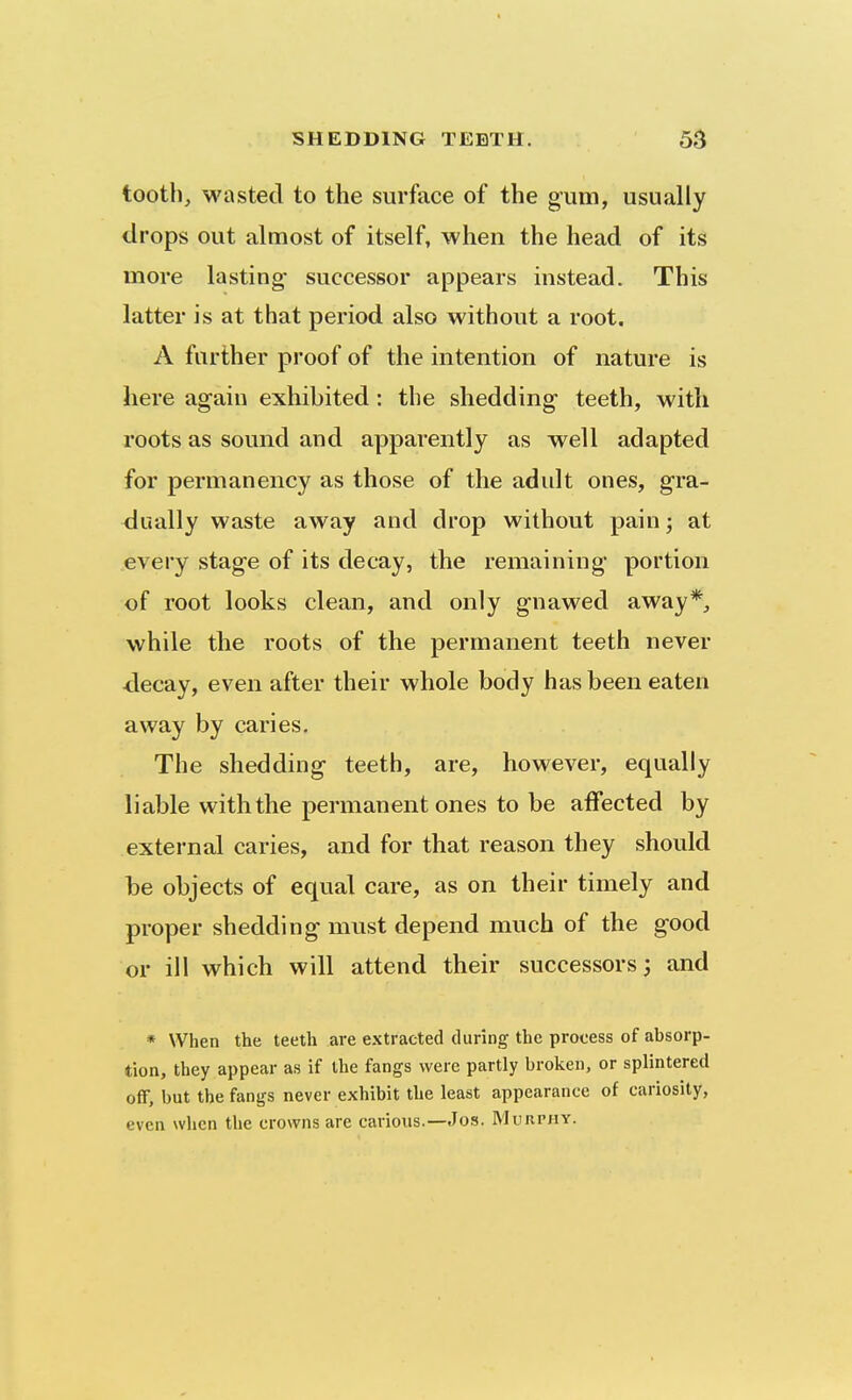 tooth, wasted to the surface of the gum, usually drops out almost of itself, when the head of its more lasting- successor appears instead. This latter is at that period also without a root. A further pj'oof of the intention of nature is here again exhibited: the shedding- teeth, with roots as sound and apparently as well adapted for permanency as those of the adult ones, gra- dually waste away and drop without pain; at every stage of its decay, the remaining portion of root looks clean, and only gnawed away*, while the roots of the permanent teeth never <lecay, even after their whole body has been eaten away by caries. The shedding teeth, are, however, equally liable with the permanent ones to be affected by external caries, and for that reason they should be objects of equal care, as on their timely and proper shedding must depend much of the good or ill which will attend their successors; and * When the teeth are extracted during the process of absorp- tion, they appear as if the fangs were partly broken, or splintered off, but the fangs never exhibit the least appearance of cariosity, even when the crowns are carious.—Jos. Murphy.
