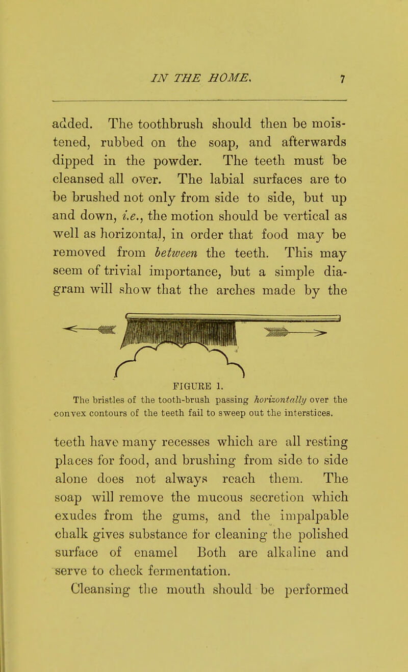 added. The toothbrush should then be mois- tened, rubbed on the soap, and afterwards dipped in the powder. The teeth must be cleansed all over. The labial surfaces are to be brushed not only from side to side, but up and down, i,e.^ the motion should be vertical as well as horizontal, in order that food may be removed from between the teeth. This may seem of trivial importance, but a simple dia- gram will show that the arches made by the FIGUEE 1. The bristles of the tooth-brush passing horizontally over the convex contours of the teeth fail to sweep out the interstices. teeth have many recesses which are all resting places for food, and brushing from side to side alone does not always reach them. The soap will remove the mucous secretion which exudes from the gums, and the impalpable chalk gives substance for cleaning tlie polished surface of enamel Both are alkaline and serve to check fermentation. Cleansing the mouth should be performed