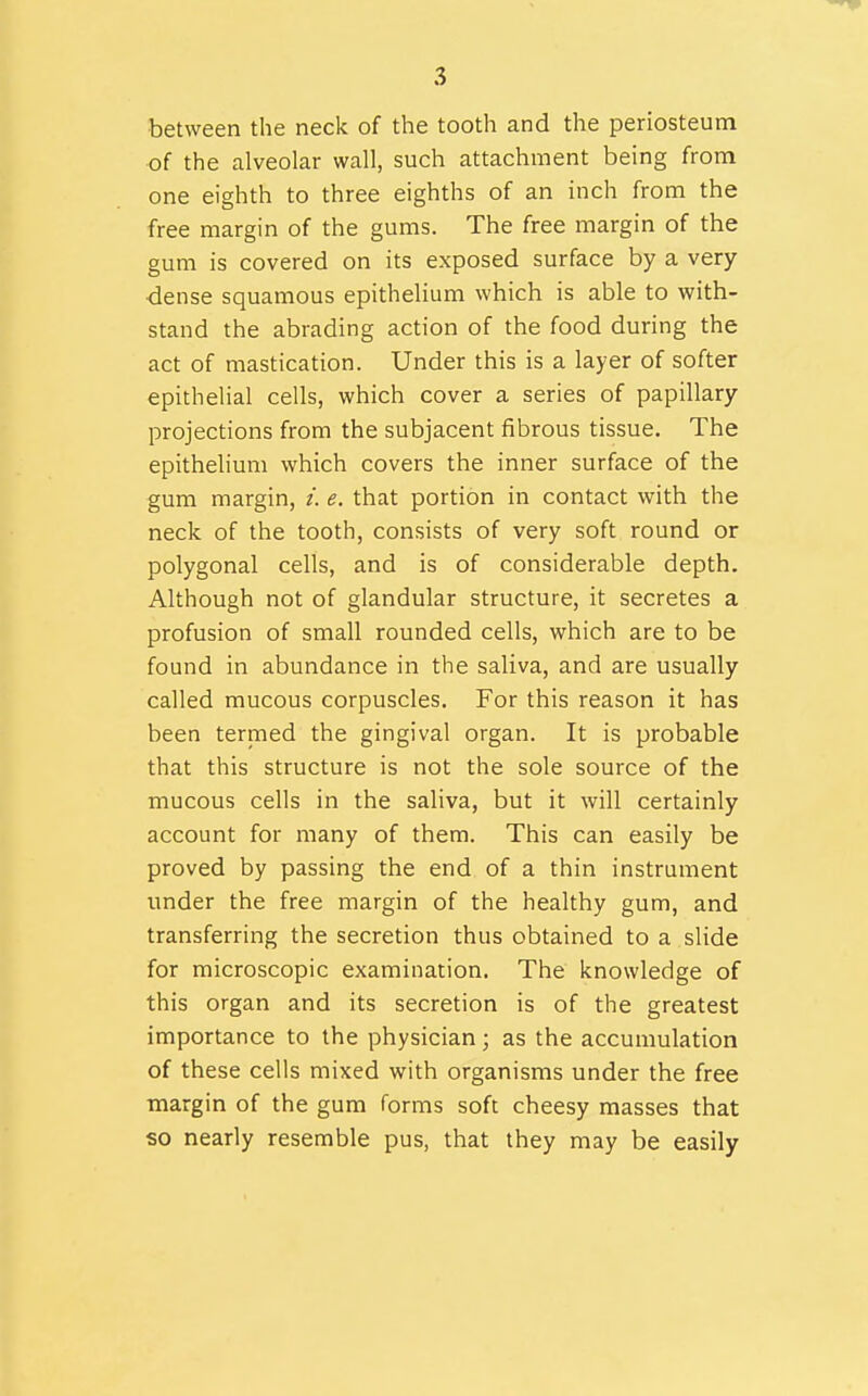 between the neck of the tooth and the periosteum of the alveolar wall, such attachment being from one eighth to three eighths of an inch from the free margin of the gums. The free margin of the gum is covered on its exposed surface by a very dense squamous epithelium which is able to with- stand the abrading action of the food during the act of mastication. Under this is a layer of softer epithelial cells, which cover a series of papillary projections from the subjacent fibrous tissue. The epithehum which covers the inner surface of the gum margin, /. e. that portion in contact with the neck of the tooth, consists of very soft round or polygonal cells, and is of considerable depth. Although not of glandular structure, it secretes a profusion of small rounded cells, which are to be found in abundance in the saliva, and are usually called mucous corpuscles. For this reason it has been termed the gingival organ. It is probable that this structure is not the sole source of the mucous cells in the saliva, but it will certainly account for many of them. This can easily be proved by passing the end of a thin instrument under the free margin of the healthy gum, and transferring the secretion thus obtained to a slide for microscopic examination. The knowledge of this organ and its secretion is of the greatest importance to the physician; as the accumulation of these cells mixed with organisms under the free margin of the gum forms soft cheesy masses that so nearly resemble pus, that they may be easily