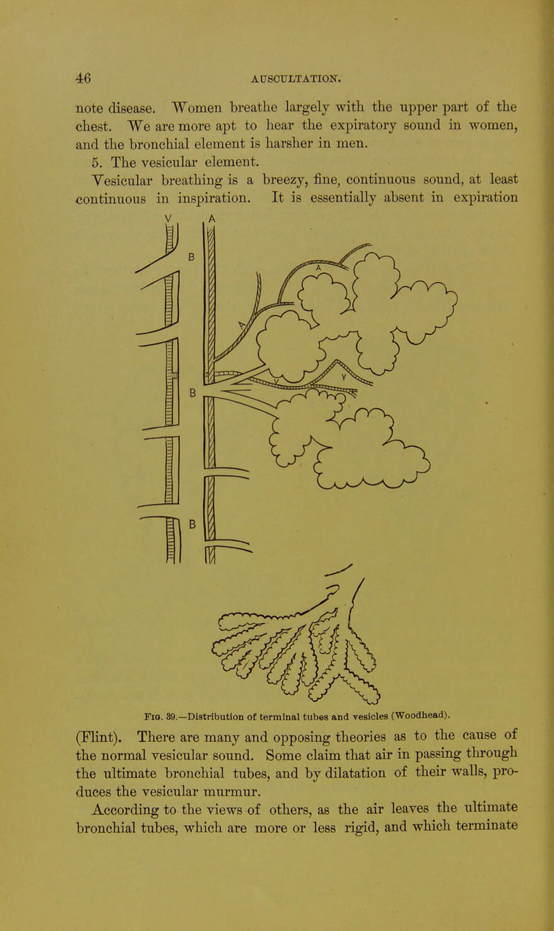 note disease. Women breathe largely with the upper part of the chest. We are more apt to hear the expiratory sound in women, and the bronchial element is harsher in men. 5. The vesicular element. Yesicular breathing is a breezy, fine, continuous sound, at least continuous in inspiration. It is essentially absent in expiration V. A Fia. -Distribution of terminal tubes and vesicles (Woodhead). (Flint). There are many and opposing theories as to the cause of the normal vesicular sound. Some claim that air in passing through the ultimate bronchial tubes, and by dilatation of their walls, pro- duces the vesicular murmur. According to the views of others, as the air leaves the ultimate bronchial tubes, which are more or less rigid, and which terminate