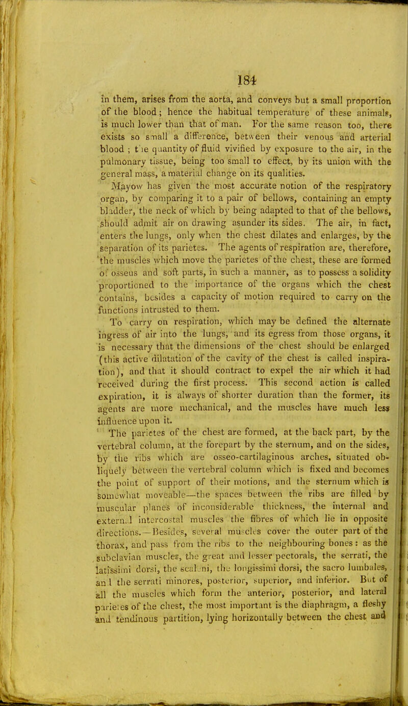 of the blood; hence the habitual temperature of these animals, is much lower than that of man. For the same reason too, there exists so small a difference, between their venous and arterial blood ; t ie quantity of fluid vivified by exposure to the air, in the pulmonary tissue, being too small to effect, by its union with the general mass, a material change on its qualities. Mayow has given the most accurate notion of the respiratory organ, by comparing it to a pair of bellows, containing an empty bladder, the neck of which by being adapted to that of the bellows, should admit air on drawing asunder its sides. The air, in fact, enters the lungs, only vi^hen tho chest dilates and enlarges, by the separation of its parietes. The agents of respiration are, therefore, the muscles which move the parietes of the chest, these are formed of osseus and soft parts, in such a manner, as to possess a solidity proportioned to the importance of the organs which the chest contains, besides a capacity of motion required to carry on the functions intrusted to them. To carry on respiration, which may be defined the alternate ingress of air into the lungs, • and its egress from those organs, it is necessary that the dimensions of the chest should be enlarged (this active dilatation of the cavity of the chest is called inspira- tion), and that it should contract to expel the air which it had received during the first process. This second action is called expiration, it is always of shorter duration than the former, its agents are more mechanical, and the muscles have much les» influence upon it. ' The parietes of the chest are formed, at the back part, by the vertebral column, at the forepart by the sternum, and on the sides, by the ribs which are osseo-cartilaginous arches, situated ob- liquely between the vertebral column which is fixed and becomes the point of support of their motions, and the sternum which is feomewhat moveable—the spaces between the ribs are filled by muscular planes of inconsiderable thickness, the internal and extern..! intercostal muscles the fibres of which He in opposite directions.— Besides, several musclt s cover the outer part of the thorax, and pass from the ribs to the neighbouring bones: as the subclavian muscles, the great and lesser pectorals, the serrati, the latissiini dorsi, the scaLni, th^- longissimi dorsi, the sacro lumbales, an I the serrati minores, posterior, superior, and interior. But of all the muscles which form the anterior, posterior, and lateral parieies of the chest, the most important is the diaphragm, a fleshy and tendinous partition, lying horizontally between the chest and