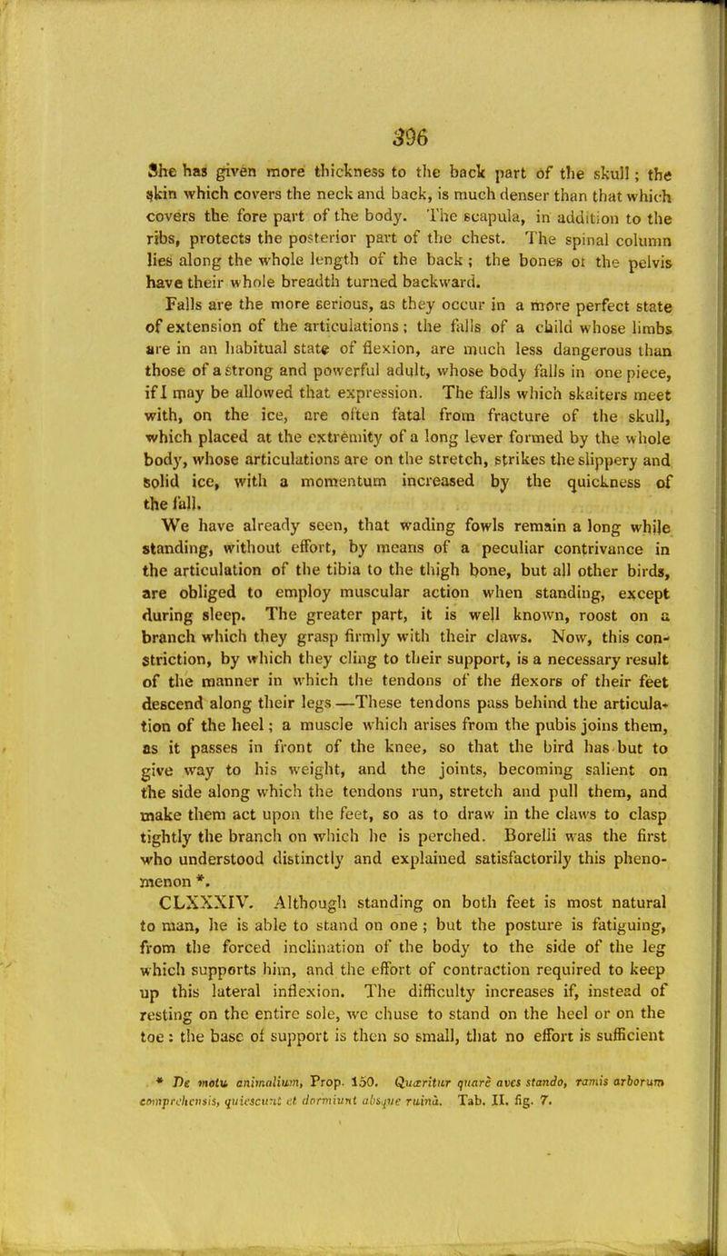 She has given more thickness to the back part 6f the slcull; the !}kin which covers the neck and back, is much denser than that which covers the fore part of the body. The scapula, in addition to the ribs, protects the posterior part of the chest. The spinal column lies along the whole length of the back ; the bones ot the pelvis have their whole breadth turned backward. Falls are the more Berious, as they occur in a more perfect state of extension of the articulations; the falls of a child whose limbs are in an habitual state of flexion, are much less dangerous than those of a strong and powerful adult, whose body falls in one piece, if I may be allowed that expression. The falls which skaiters meet with, on the ice, are often fatal from fracture of the skull, which placed at the extremity of a long lever formed by the whole body, whose articulations are on the stretch, strikes the slippery and solid ice, with a momentum increased by the quickness of the fall. We have already seen, that wading fowls remain a long while standing, without effort, by means of a peculiar contrivance in the articulation of the tibia to the thigh bone, but all other birds, are obliged to employ muscular action when standing, except during sleep. The greater part, it is well known, roost on a branch which they grasp firmly with their claws. Now, this con- striction, by which they cling to their support, is a necessary result of the manner in which the tendons of the flexors of their feet descend along their legs —These tendons pass behind the articula- tion of the heel; a muscle which arises from the pubis joins them, as it passes in front of the knee, so that the bird has but to give way to his weight, and the joints, becoming salient on the side along which the tendons run, stretch and pull them, and make them act upon the feet, so as to draw in the claws to clasp tightly the branch on which he is perched. Borelli was the first who understood distinctly and explained satisfactorily this pheno- menon *. CLXXXIV. Although standing on both feet is most natural to man, he is able to stand on one ; but the posture is fatiguing, from the forced inclination of the body to the side of the leg which supports him, and the effort of contraction required to keep up this lateral inflexion. The difficulty increases if, instead of resting on the entire sole, we chuse to stand on the heel or on the toe : the base of support is then so small, that no effort is sufficient * J)e main animalitim, Prop. 150. Qutsritiir quare aves stando, ramis arborum