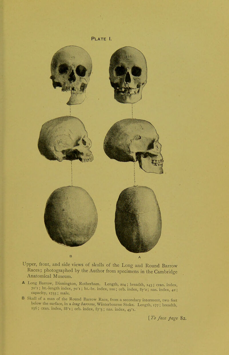 Upper, front, and side views of skulls of the Long and Round Barrow Races; photographed by the Author from specimens in the Cambridge Anatomical Museum. A Long Barrow, Dinnington, Rotherham. Length, 204; breadth, 143 ; cran. index, 70-I; ht.-length index, 70-1; ht.-br. index, 100; orb. index, 87-2; nas. index, 42; capacity, 1755 ; male. B Skull of a man of the Round Barrow Race, from a secondary interment, two feet below the surface, in a long barrow, Winterbourne Stoke. Length, 177 ; breadth, 156; cran. index, 88-i; orb. index, 87-5 ; nas. index, 49-1. \To face page