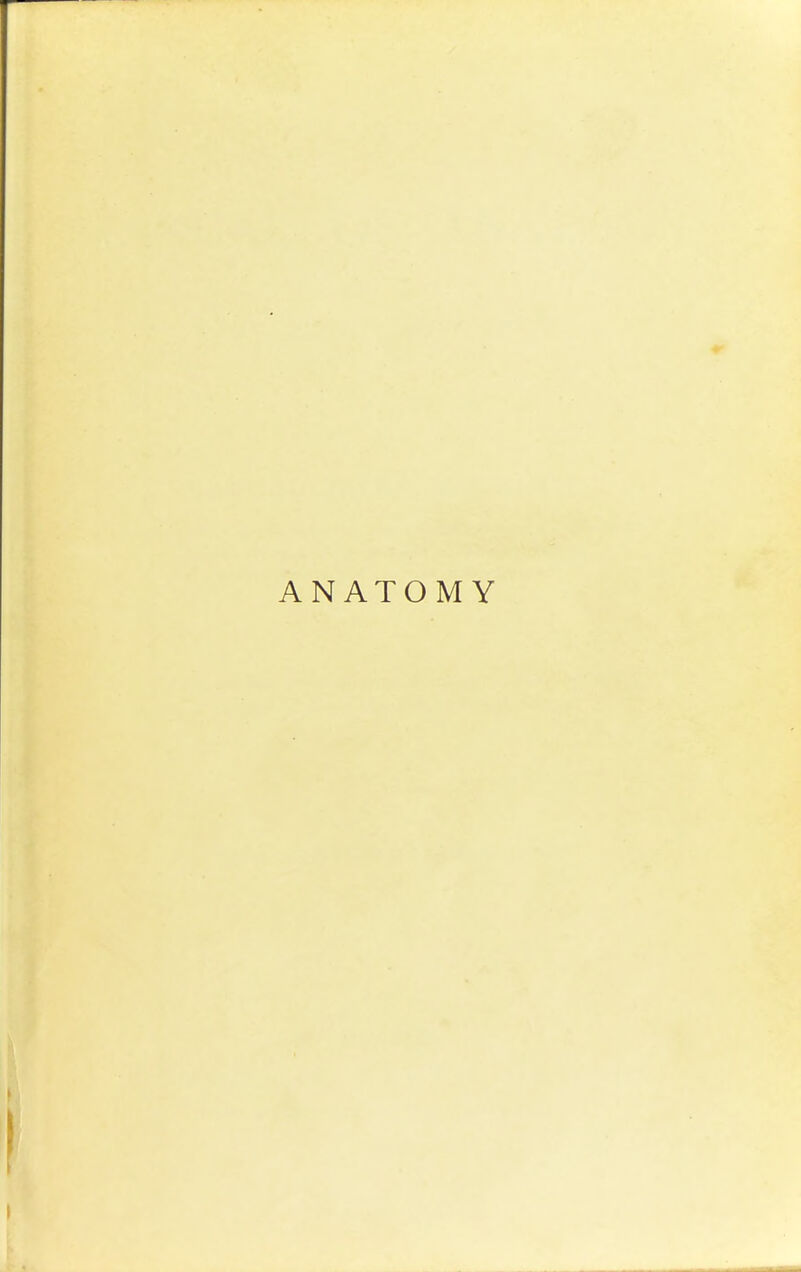 ANATOMY