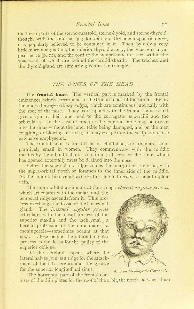 Frontal Bo/id the lower parts of the sterno-mastoid, sterno-hyoid, and sterno-thyroid, though, with the internal jugular vein and the pneumogastric nerve, it is popularly believed to be contained in it. Then, by only a very little more imagination, the inferior thyroid artery, the recurrent laryn- geal nerve (p. 70), and the cord of the sympathetic are seen within the space—all of which are behind the carotid sheath. The trachea and the thyroid gland are similarly given in the triangle. THE BONES OF THE HEAD The frontal Done.—The vertical part is marked by the frontal eminences, which correspond to the frontal lobes of the brain. Below them are the superciliary ridges, which are continuous internally with the root of the nose. They correspond with the frontal sinuses and give origin at their inner end to the corrugator supercilii and the orbicularis. In the case of fracture the external table may be driven into the sinus without the inner table being damaged, and on the man coughing, or blowing his nose, air may escape into the scalp and cause extensive emphysema. The frontal sinuses are absent in childhood, and they are com- paratively small in women. They communicate with the middle meatus by the infundibulum. A chronic abscess of the sinus which has opened externally must be drained into the nose. Below the superciliary ridge comes the margin of the orbit, with the supra-orbital notch or foramen to the inner side of the middle. As the supra-orbital vein traverses this notch it receives a small diploic vein. The supra-orbital arch ends at the strong external angular process, which articulates with the malar, and the temporal ridge ascends from it. This pro- cess overhangs the fossa for the lachrymal gland. The internal angular process articulates with the nasal process of the superior maxilla and the lachrymal ; a hernial protrusion of the dura mater—a meningocele—sometimes occurs at that spot. Close behind the internal angular process is the fossa for the pulley of the superior oblique. On the cerebral aspect, where the r lateral halves join, is a ridge for the attach- ment of the falx cerebri, and the groove for the superior longitudinal sinus. Anter!or Meningocele (Bxyant). The horizontal part of the frontal con- sists of the thin plates for the roof of the orbit, the notch between them