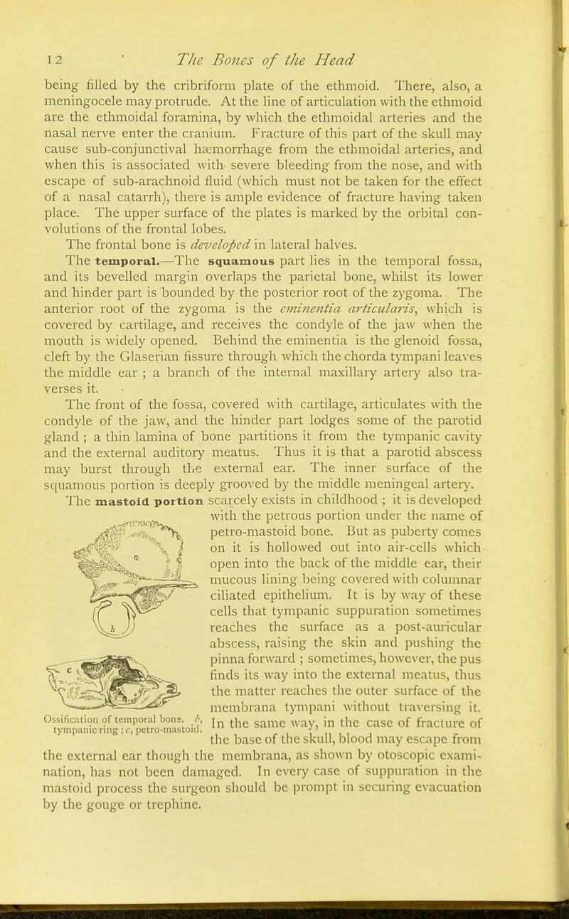 being filled by the cribriform plate of the ethmoid. There, also, a meningocele may protrude. At the line of articulation with the ethmoid are the ethmoidal foramina, by which the ethmoidal arteries and the nasal nerve enter the cranium. Fracture of this part of the skull may cause sub-conjunctival haemorrhage from the ethmoidal arteries, and when this is associated with severe bleeding from the nose, and with escape of sub-arachnoid fluid (which must not be taken for the effect of a nasal catarrh), there is ample evidence of fracture having taken place. The upper surface of the plates is marked by the orbital con- volutions of the frontal lobes. The frontal bone is developed in lateral halves. The temporal.—The squamous part lies in the temporal fossa, and its bevelled margin overlaps the parietal bone, whilst its lower and hinder part is bounded by the posterior root of the zygoma. The anterior root of the zygoma is the eminentia articularis, which is covered by cartilage, and receives the condyle of the jaw when the mouth is widely opened. Behind the eminentia is the glenoid fossa, cleft by the Glaserian fissure through which the chorda tympani leaves the middle ear ; a branch of the internal maxillary artery also tra- verses it. The front of the fossa, covered with cartilage, articulates with the condyle of the jaw, and the hinder part lodges some of the parotid gland ; a thin lamina of bone partitions it from the tympanic cavity and the external auditory meatus. Thus it is that a parotid abscess may burst through the external ear. The inner surface of the squamous portion is deeply grooved by the middle meningeal artery. The mastoid portion scarcely exists in childhood ; it is developed with the petrous portion under the name of petro-mastoid bone. But as puberty comes on it is hollowed out into air-cells which open into the back of the middle ear, their mucous lining being covered with columnar ciliated epithelium. It is by way of these cells that tympanic suppuration sometimes reaches the surface as a post-auricular abscess, raising the skin and pushing the pinna forward ; sometimes, however, the pus finds its way into the external meatus, thus the matter reaches the outer surface of the membrana tympani without traversing it. In the same way, in the case of fracture of the base of the skull, blood may escape from the external ear though the membrana, as shown by otoscopic exami- nation, has not been damaged. In every case of suppuration in the mastoid process the surgeon should be prompt in securing evacuation by the gouge or trephine. Ossification of temporal bons. tympanic ring ; c, petro-mastoid.