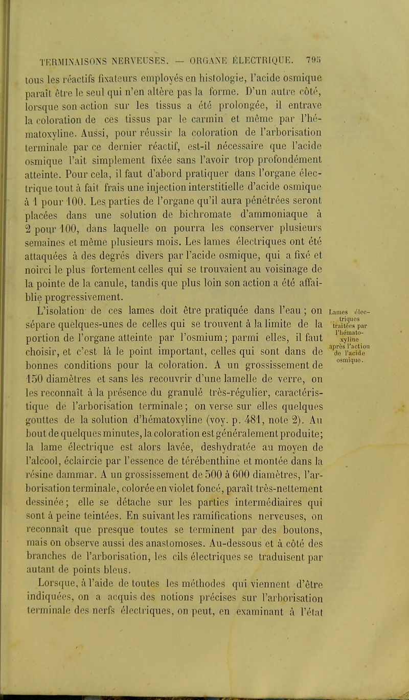 tous les réactifs fixateurs employés en histologie, l'acide osmiqiie paraît être le seul qui n'en altère pas la forme. D'un autre côté, lorsque son xaction sur les tissus a été prolongée, il entrave la coloration de ces tissus par le carmin et même par l'hé- matoxyline. Aussi, pour réussir la coloration de l'arborisation terminale par ce dernier réactif, est-il nécessaire que l'acide osmique l'ait simplement fixée sans l'avoir trop profondément atteinte. Pour cela, il faut d'abord pratiquer dans l'organe élec- trique tout à fait frais une injection interstitielle d'acide osmique à 1 pour 100. Les parties de l'organe qu'il aura pénétrées seront placées dans une solution de bichromate d'ammoniaque à 2 pour 100, dans laquelle on pourra les conserver plusieurs semaines et même plusieurs mois. Les lames électriques ont été attaquées à des degrés divers par l'acide osmique, qui a fixé et noirci le plus fortement celles qui se trouvaient au voisinage de la pointe de la canule, tandis que plus loin son action a été affai- blie progressivement. L'isolation- de ces lames doit être pratiquée dans l'eau ; on Lames éiec- sépare quelques-unes de celles qui se trouvent à la limite de la traUées''par portion de l'organe atteinte par l'osmium; parmi elles, il faut 'xyîlne' choisir, et c'est là le point important, celles qui sont dans de deVactaT bonnes conditions pour la coloration. A un grossissement de '^J- 150 diamètres et sans les recouvrir d'une lamelle de verre, on les reconnaît à la présence du granulé très-régulier, caractéris- tique de l'arborisation terminale ; on verse sur elles quelques gouttes de la solution d'hématoxyline (voy. p. ^Sl, note 2). Au bout de quelques minutes, la coloration est généralement produite; la lame électrique est alors lavée, deshydratée au moyen de l'alcool, éclaircie par l'essence de térébenthine et montée dans la résine dammar. A un grossissement de 500 à 600 diamètres, l'ar- borisation terminale, colorée en violet foncé, paraît très-nettement dessinée; elle se détache sur les parties intermédiaires qui sont à peine teintées. En suivant les ramifications nerveuses, on reconnaît que presque toutes se terminent par des boutons, mais on observe aussi des anastomoses. Au-dessous et à côté des branches de l'arborisation, les cils électriques se traduisent par autant de points bleus. Lorsque, à l'aide de toutes les méthodes qui viennent d'être indiquées, on a acquis des notions précises sur l'arborisation terminale des nerfs électriques, on peut, en examinant à l'élat