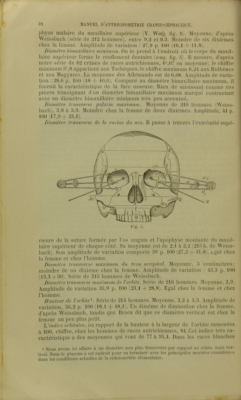 pliyse malaire du maxillaire supërieiii' (V. WaQ, lig. 5). Moyenne, d'après Weissbacli (série de i212 hommes), entre 9,2 et 9,3. Moindre de six dixièmes chez lu femme. Amplitude de variation : 27,9 p. 400 (10,1 -}- 11,8). Diamètre bimaxillaire minimum. On le prend k l'endroit où le corps du maxil- laire supérieur l'orme le renflement dentaire {waq, lig. 5). Il mesure, d'ajjrès notre série de 62 crânes de races autrichiennes, 6%07 en moyeinie; le chilTre minimum 5,8 appartient aux ïschèques, le chillVe maximum 0,2i aux Ruthènes et aux Magyares. La moyenne des Allemands est de 0,08. Amplitude de varia- tion : 28,6 p. 100 (18 -1- ^^^G). Comparé au diamètre bimaxillaire maximum, il fournit la caractéristique de la face osseuse. Rien de saisissant comme ces pièces témoignant d'un diamètre bimaxillaire maximum marqué contrastant avec un diamètre bimaxillaire minimum très peu accentué. Diamèlre transverse palatin maximum. Moyenne de 210 hommes (Weiss- bach), 3,8 à 3,9. Moindre chez la femme de deux dixièmes. Amplitude, 41 p. 100 (17,9-1- 23,1). Diamètre Iransverse de la racine du nez. Il passe à travers l'extrémité supé- Fig. 5. rieure de la suture formée par l'os unguis et l'apophyse montante du maxil- laire supérieur de chaque côté. Sa moyenne est de 2,i à 2,2 (215 h. de Weiss- bach). Son amplitude de variation comporte 59 p. 100 (27,2-f-31,8). jLgal chez la femme et chez l'homme. Diamètre transverse maximum du trou occipital. Moyenne, 3 centimètres; moindre de un dixième chez la femme. Amplitude de variation : 43,3 p. 100 (13,3 + 30). Série de 215 hommes de Weissbach. Diamètre Iransvei^se maximum de l'orbite. Séi'ie de 216 hommes. ^loyenne, 3,9. Amplitude de variation 35,9 p. 100 (23,1 + 28,8). Egal chez la femme et chez l'homme. hauteur de Vorbite^. Série de 214 hommes. Moyenne, 3,2 à 3.3. Amplitude de variation, 36,2 p. 100 (18,1 -|- 18,1). Un dixième de diminution chez la femme, d'après Weissbach, tandis que Rroca dit que ce diamètre vertical est chez la femme un peu plus petit. L'indice orbitaire, ou rapport de la hauteur à la largeur de l'orbite ramenées à 100, chifl're, chez les hommes de races autrichiennes, 84. Cet indice très ca- ractéristique a des moyennes qui vont de 77 à 95,4. Dans les races blanches » Nous avons ici affaire à un diamètre non plus transverse par rnppori au crAnc, mais ver- tical. Nous le plarons à cet endroit pour en terminer avec les principales mesures considérées dans les conditions actuelles de la crAniométrie élémentaire.