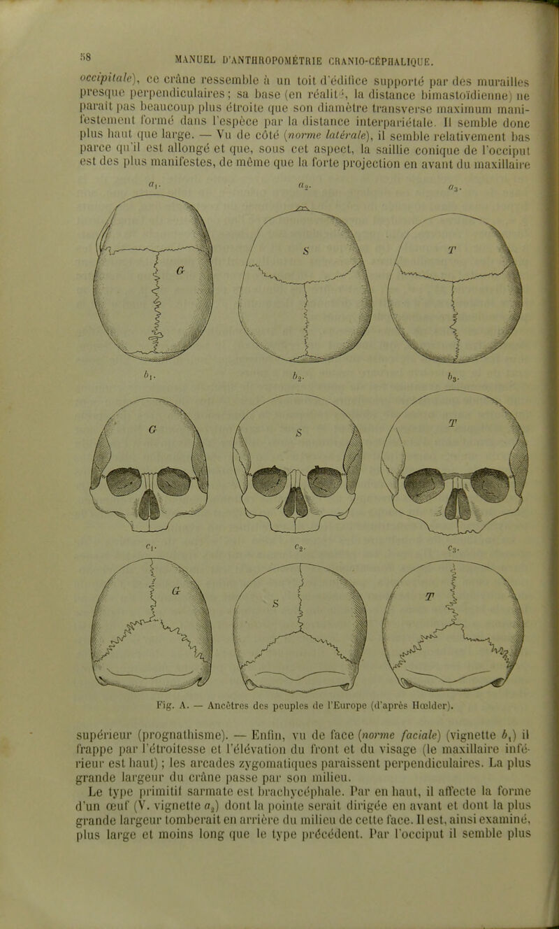 occipitale), ce crâne ressemble à un toit d edilice supporté par des murailles presque perpendiculaires; sa base (en réalit-, la dislance bimastoïdiennej ne parait pas beaucoup plus étroite que son diamètre transversc maximum mani- leslement Ibrmé dans l'espèce par la distance interpariélale. Il semble donc plus haut que large. — Vu de côté [norme latérale), il semble relativement bas parce qu'il est allongé et que, sous cet aspect, la saillie conique de l'occipui est des plus manifestes, de môme que la forte projection en avant du maxillaire «o. Fig. A. — Ancêtres des peuples de l'Europe (d'après Hœlder). supérieur (prognalliisme). — Enfin, vu de face [norme faciale) (vignette b^) il frappe par l'étroitesse et l'élévation du front et du visage (le maxillaire infé- rieur est haut) ; les arcades zygoinatiques paraissent perpendiculaires. La plus grande largeur du crâne passe par son milieu. Le type primitif sarmate est brachycépliale. Par en haut, il affecte la forme d'un œuf (V. vignette o,) dont la i)oinle serait dirigée en avant et dont la plus grande largeur tomberait en arrière du milieu de celte face. Il est, ainsi examiné, plus large et moins long que le type précédent. Par l'occiput il semble plus